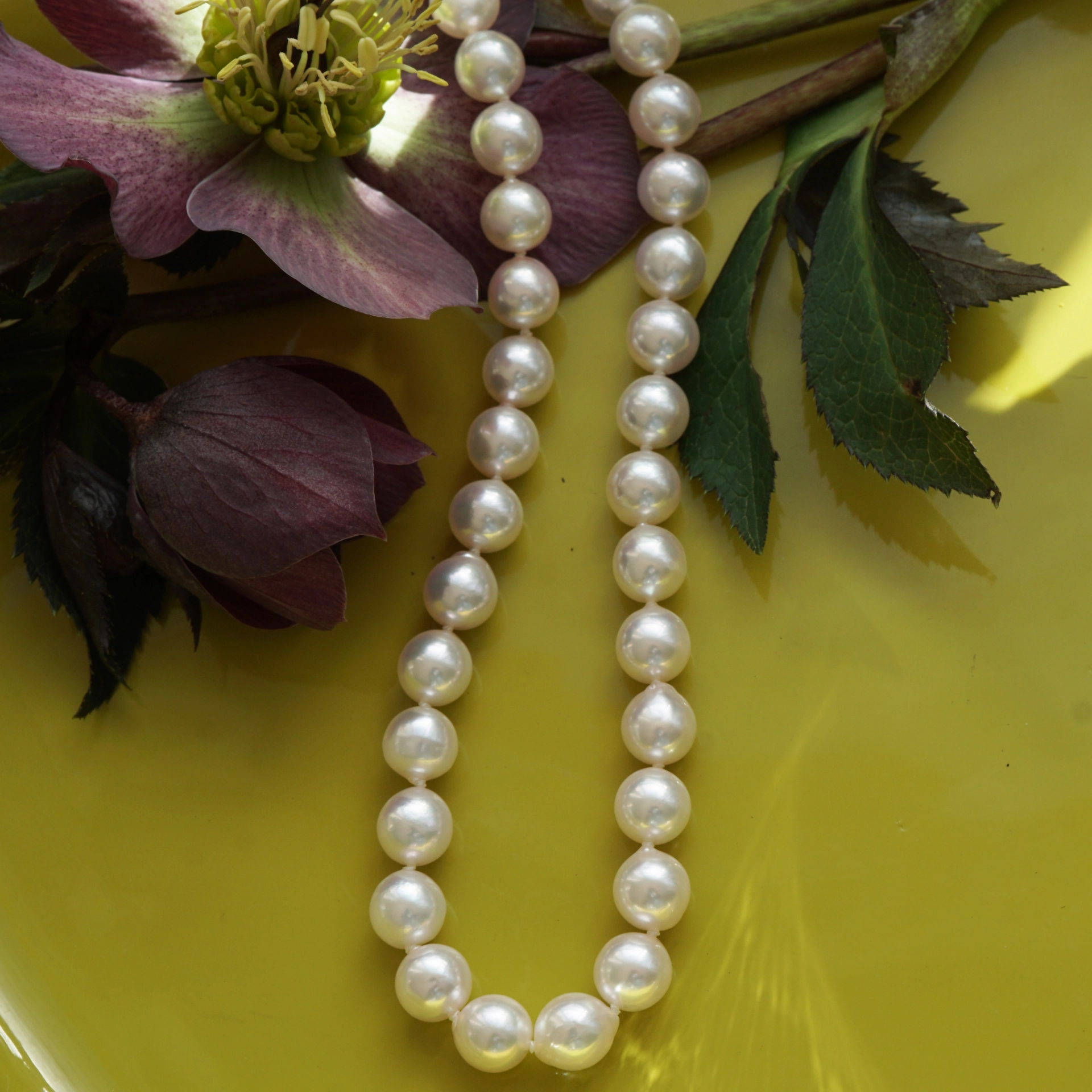 Akoya Zuchtperl Collier 7-7,5 mm rund-l.unrund weiß AAA feiner Lüster