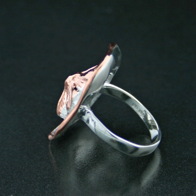 Avantgard Ring 925 Sterling Silver...great view