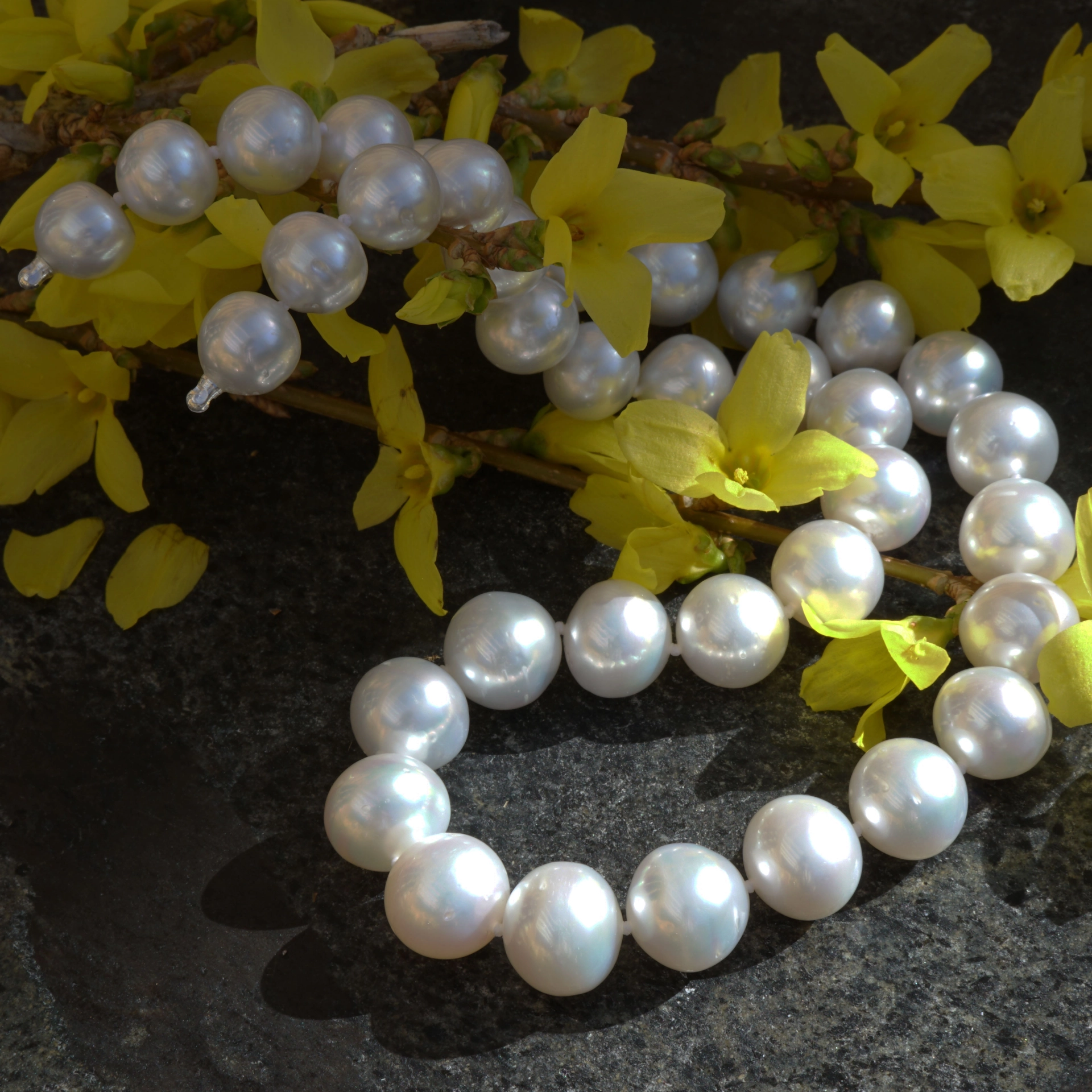 White South Sea cultured Pearl Necklace of approx. 13.4 x 10 mm AAA-AA