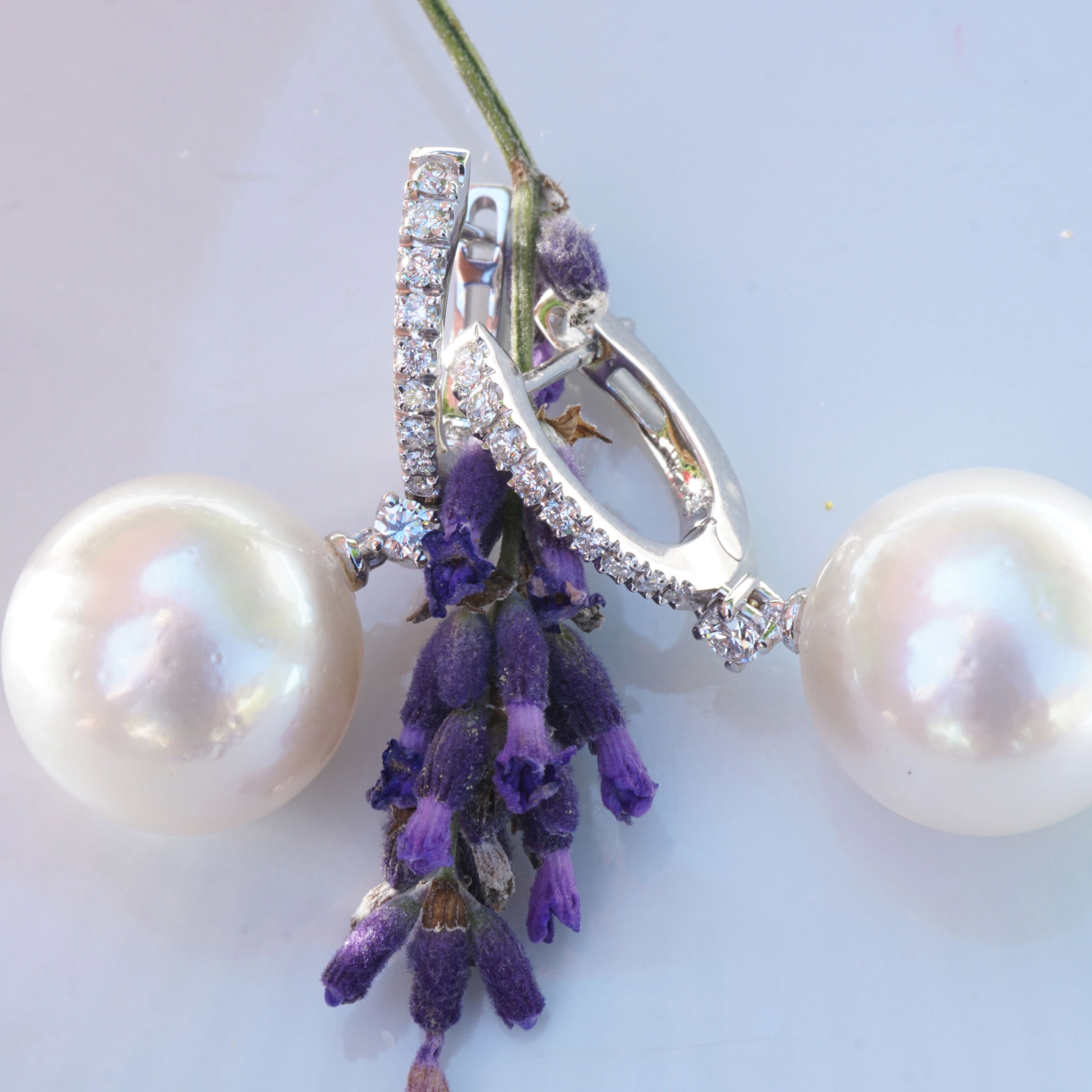 Wonderful southsea pearls earrings perfectly set in 750 whitegold