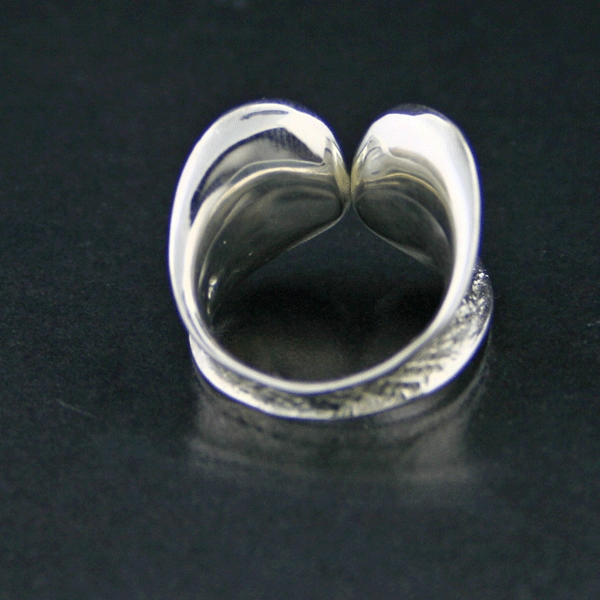 Silberring, Avantgarde