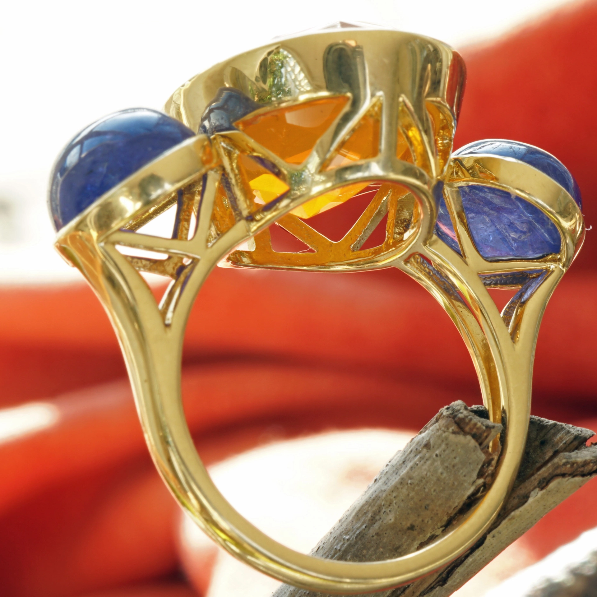Firebird Colors...incredible Orange and Blue...Amazing