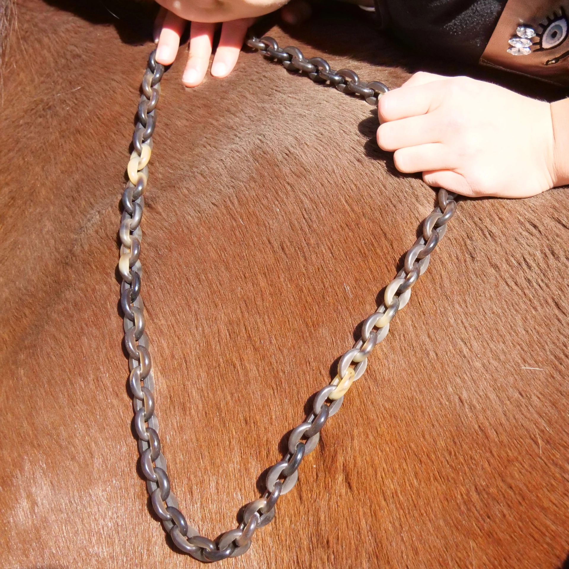Horn Necklace...very chic....light and easy