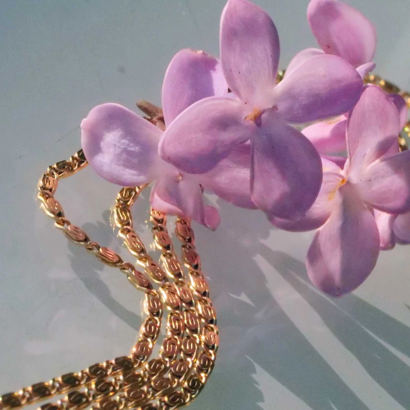 Delicate flat Curb Chain 14 kt Yellow Gold 10 Gramm 200 cm Lenght