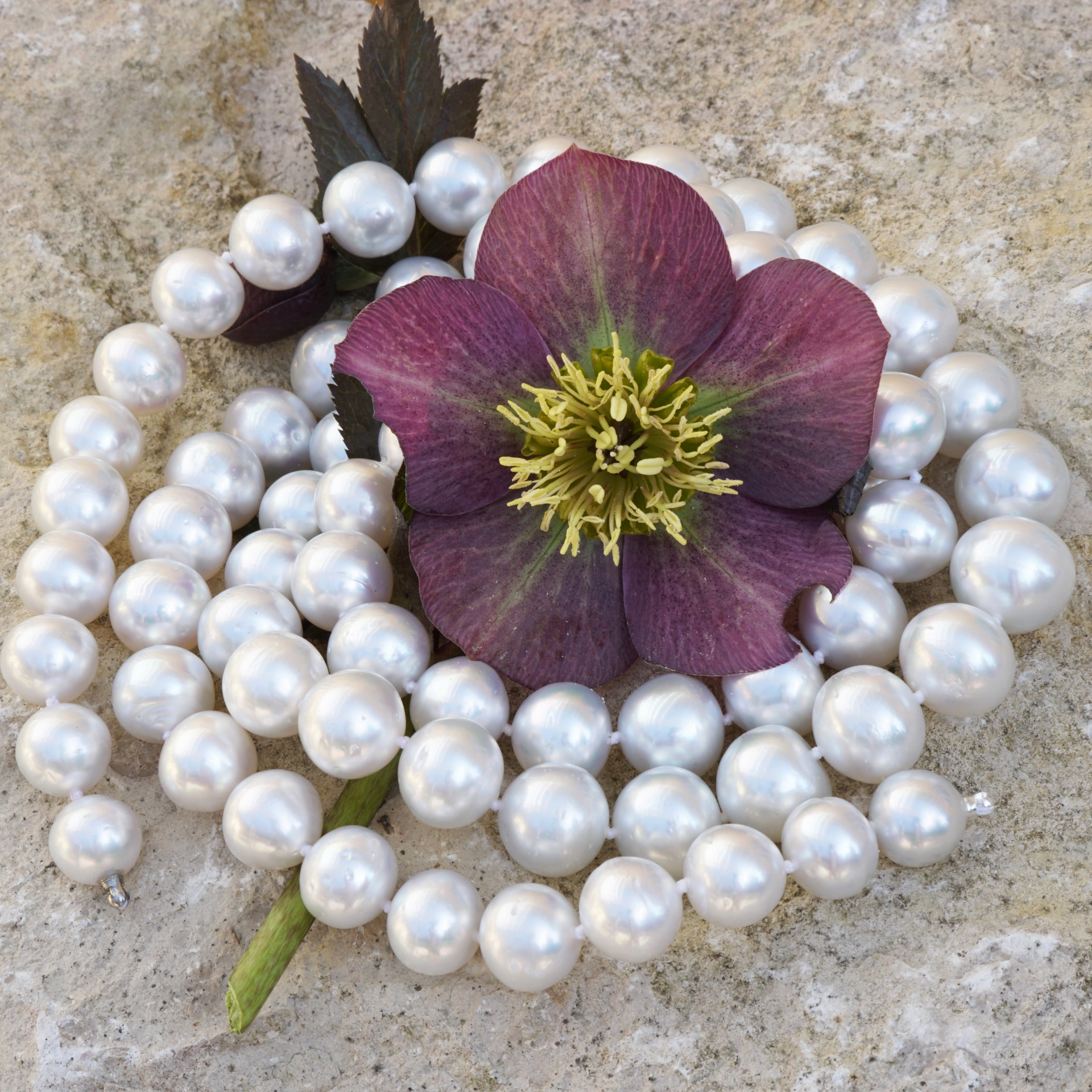 White South Sea cultured Pearl Necklace of approx. 13.4 x 10 mm AAA-AA