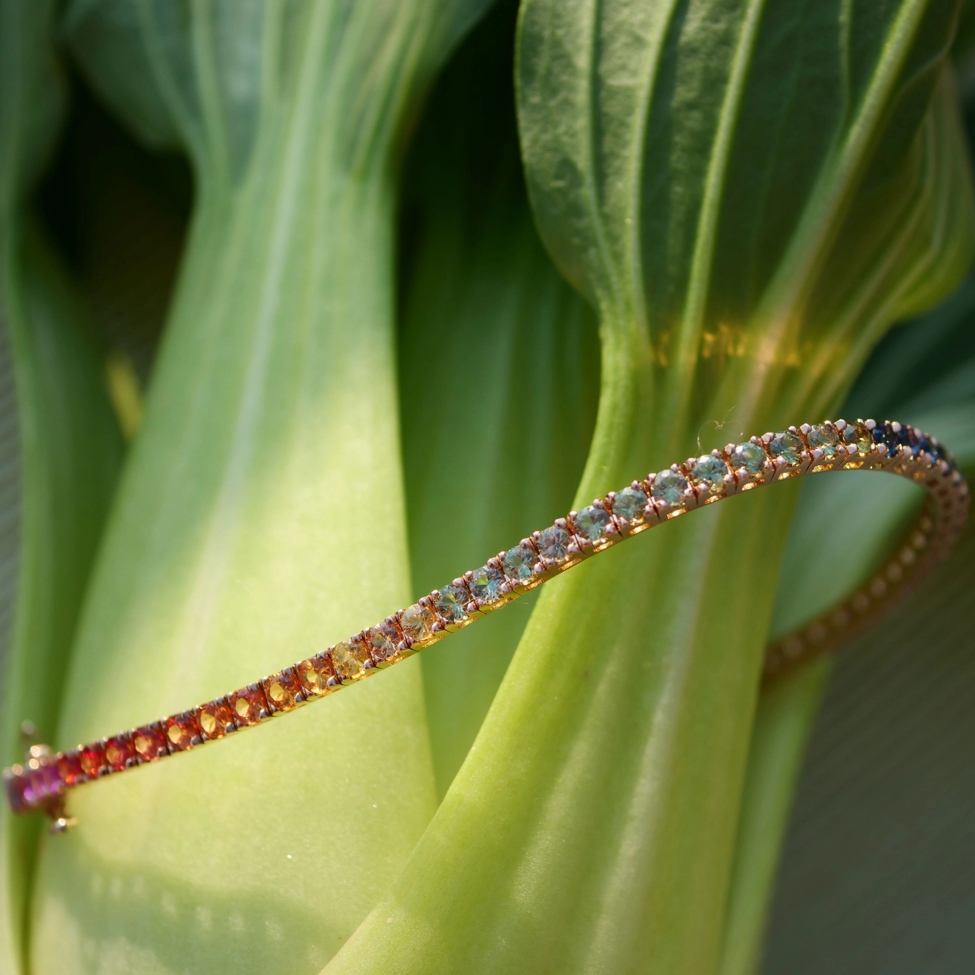 A Dream Journey in the World of Colors....Saphire Bracelet 18 Kt Rosegold