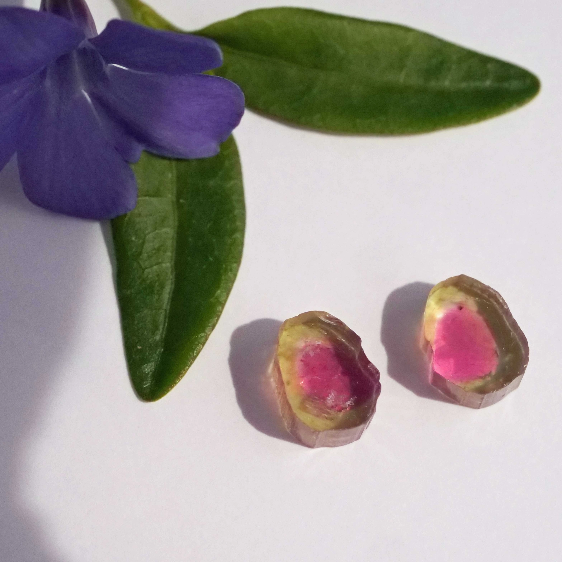 Watermelon Tourmaline slices from Afghanistan totally 6.50 ct AAA+