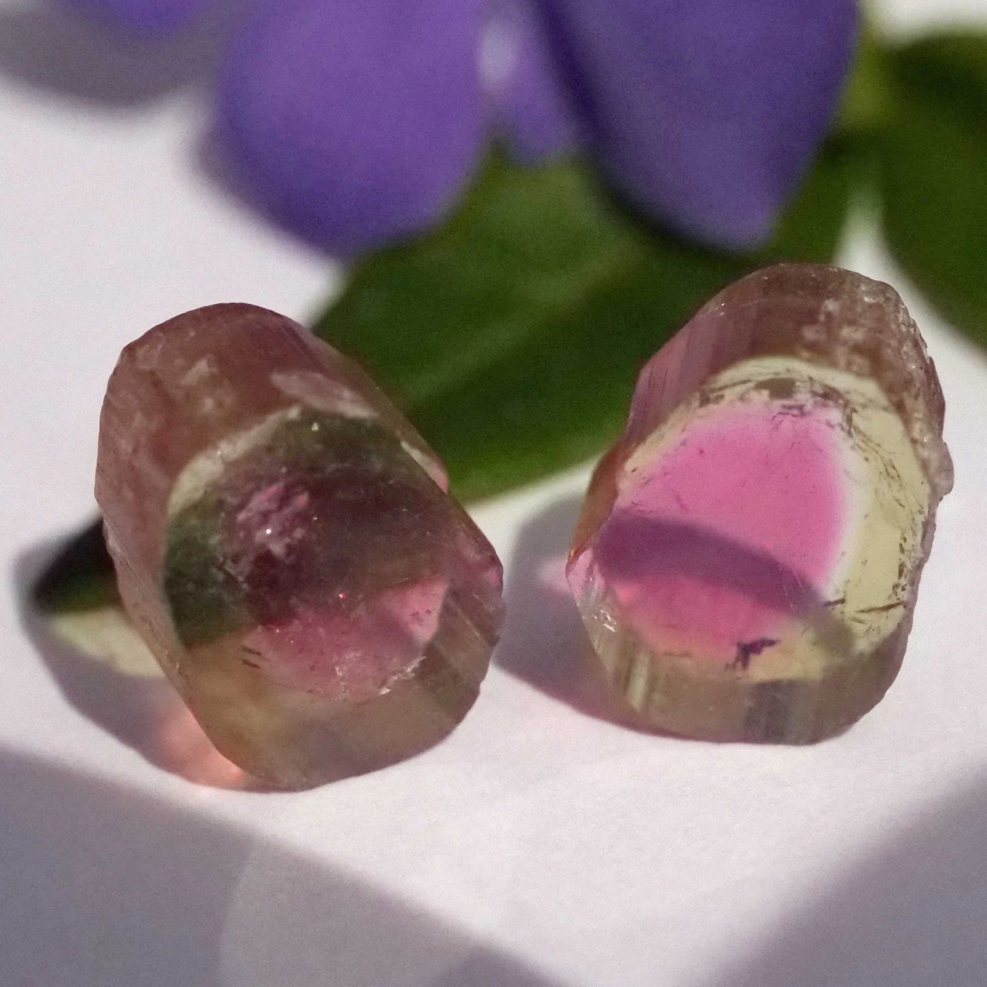 Watermelon Tourmaline slices from Afghanistan totally 6.50 ct AAA+