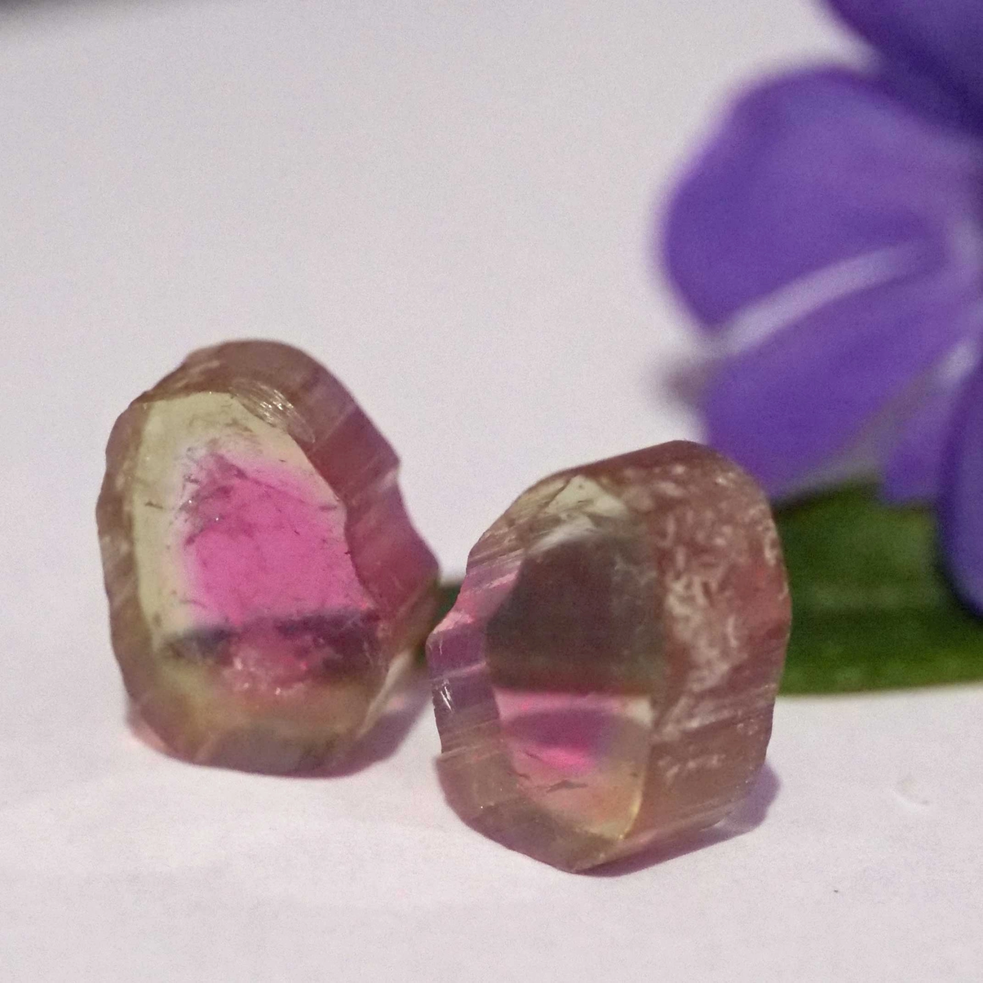 Watermelon Tourmaline slices from Afghanistan totally 6.50 ct AAA+