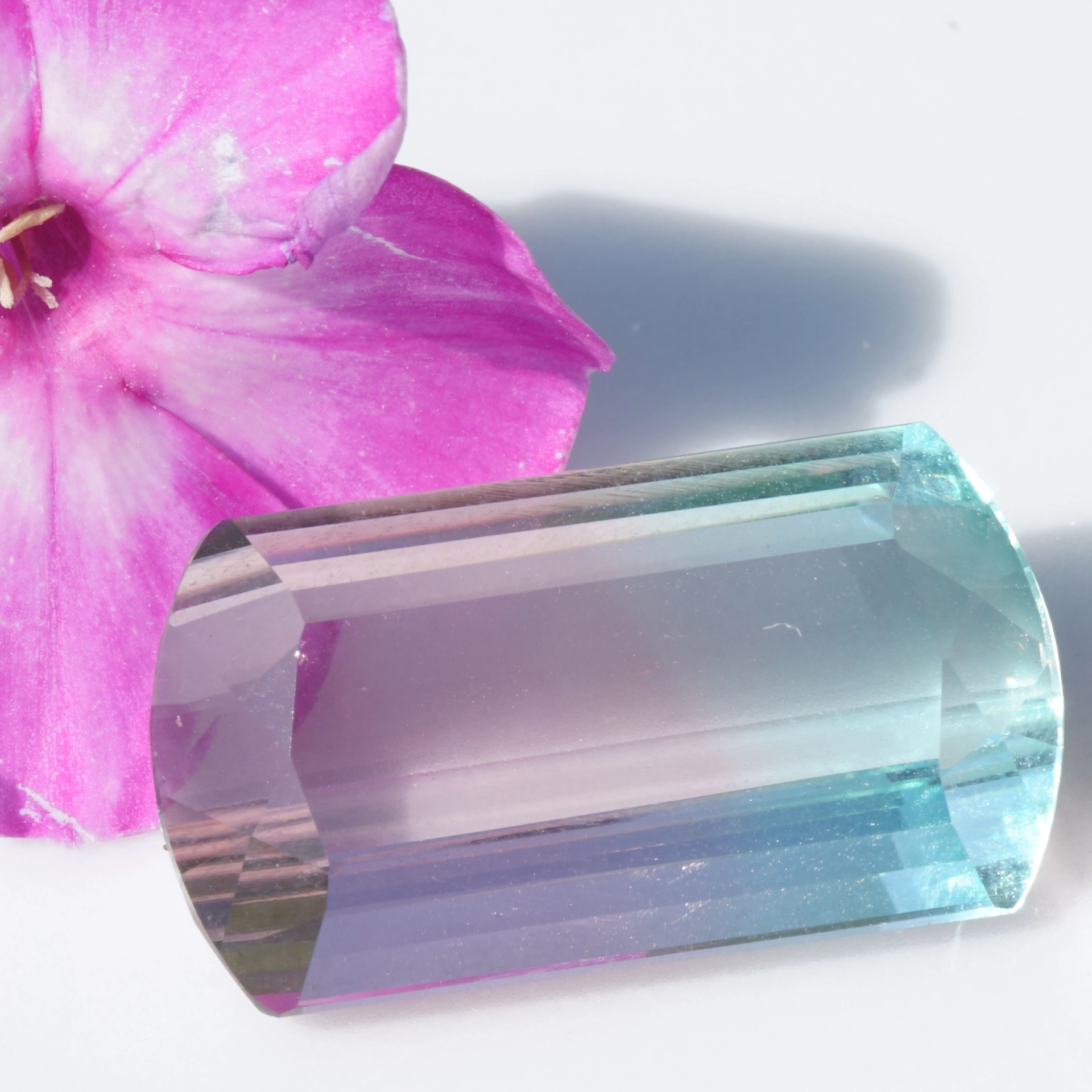 Bicolor turmalin great natural color baby pink greenish blue loupeclean 14.85 ct Afghanistan