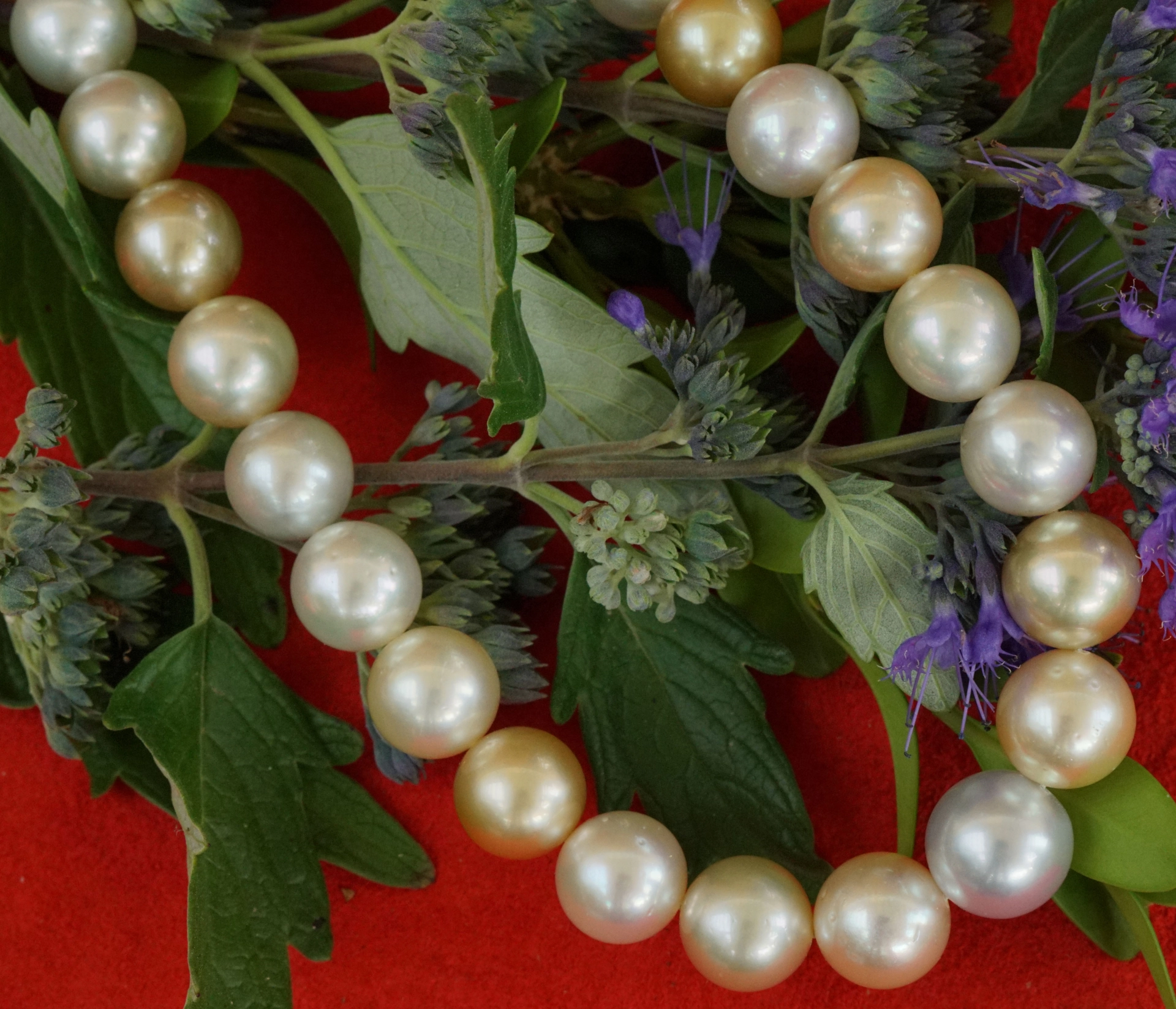 Südsee Zuchtperl Collier 585er Gelbgold 10-11,7 mm Naturfarben