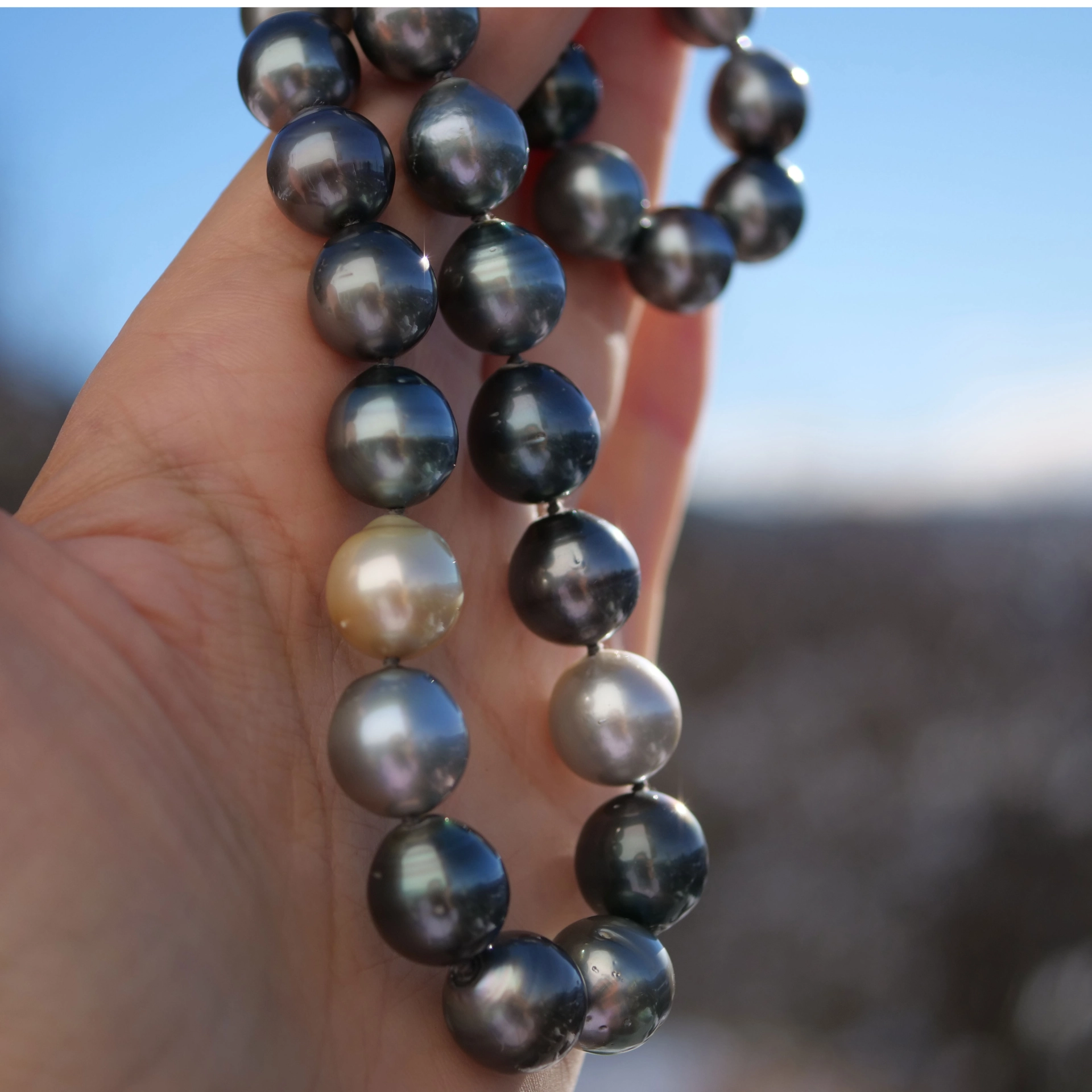 A Amazing Tahiti Pearl Necklace with so many Colors