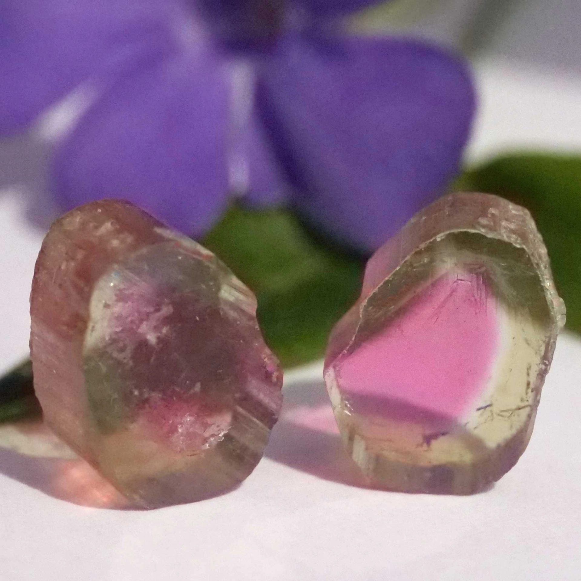 Watermelon Tourmaline slices from Afghanistan totally 6.50 ct AAA+