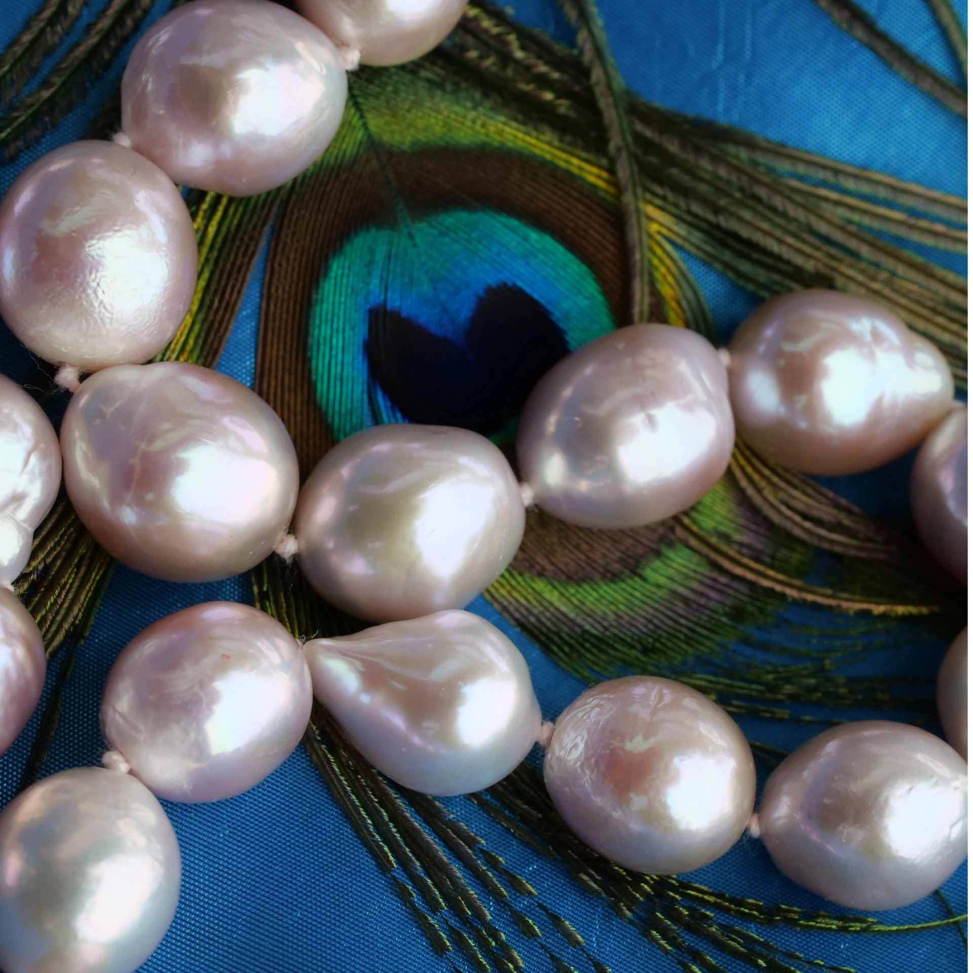 A Amazing Tahiti Pearl Necklace with so many Colors
