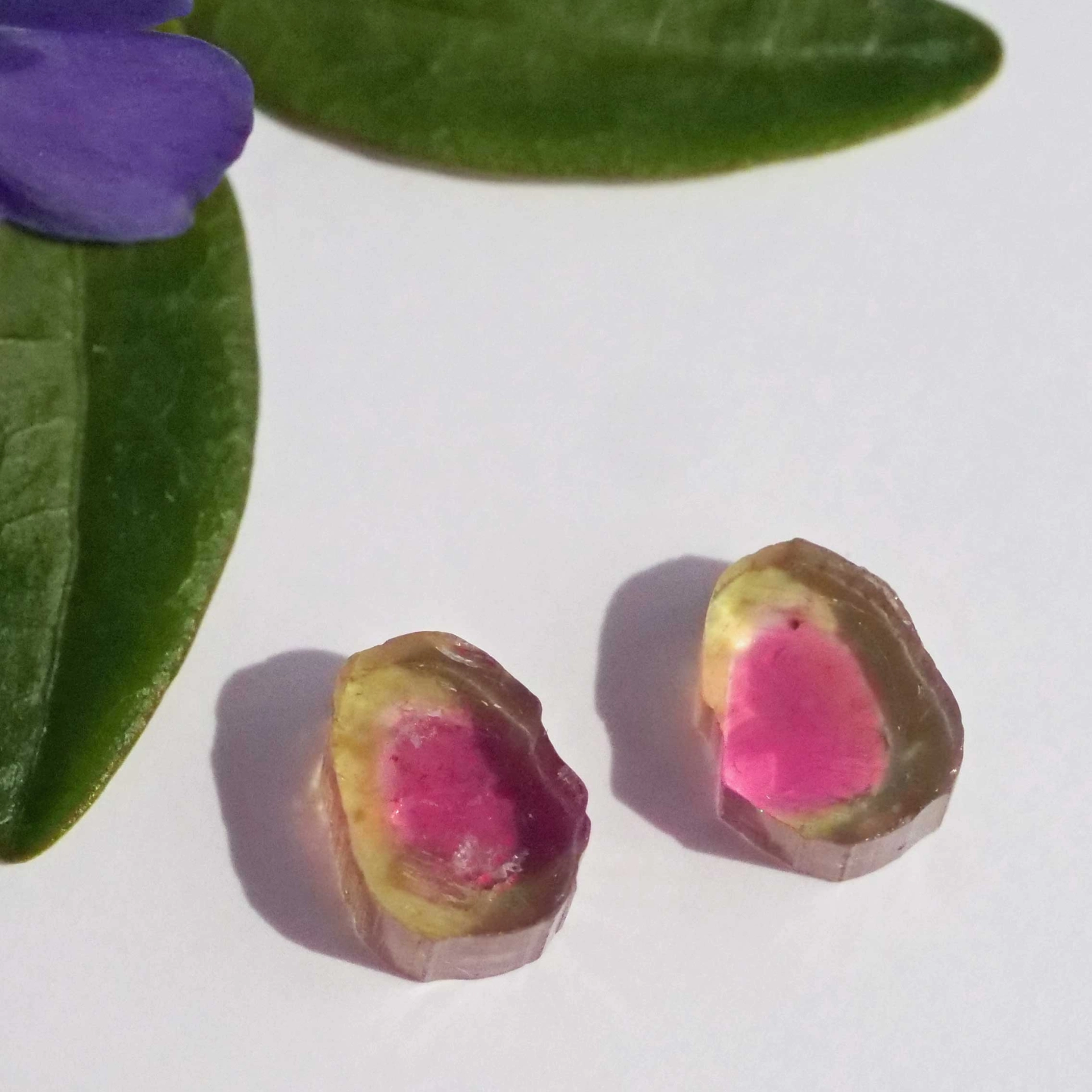Watermelon Tourmaline slices from Afghanistan totally 6.50 ct AAA+