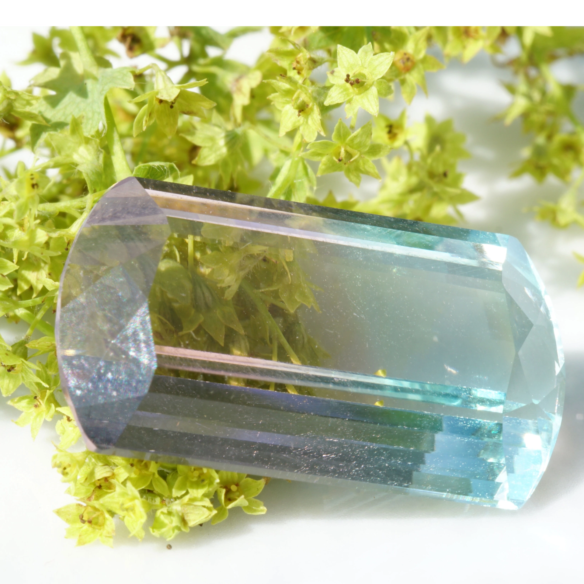 Bicolor turmalin great natural color baby pink greenish blue loupeclean 14.85 ct Afghanistan