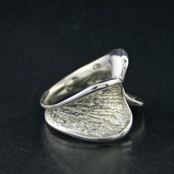 Silberring, Avantgarde