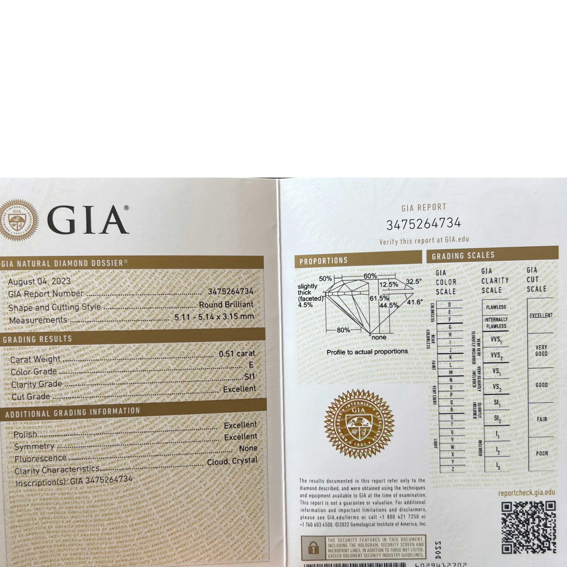 Brilliant Necklace 0.50 ct E (very fine white) / SI1 (small inclusions) with GIA report 18 kt Gold
