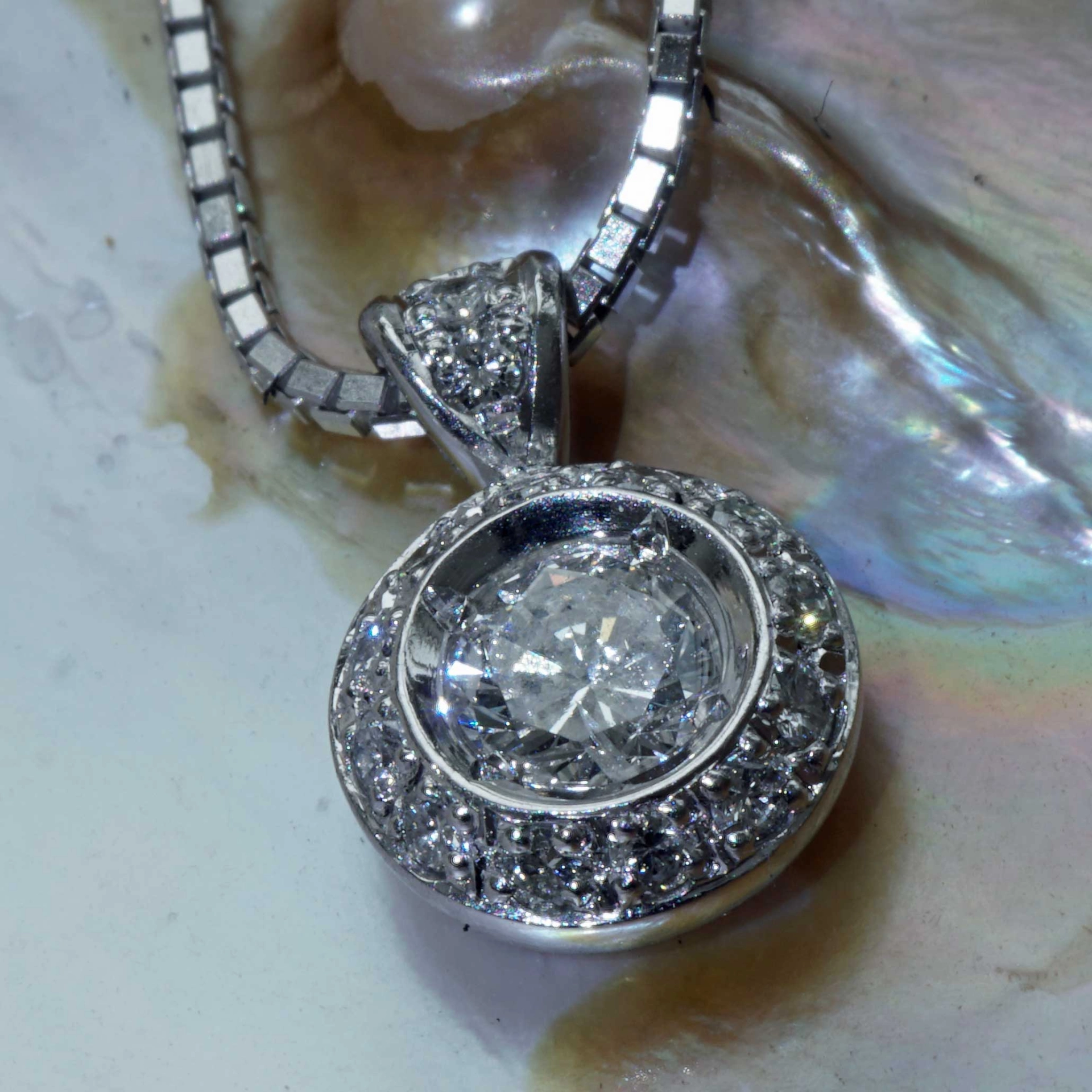 Brilliant Necklace 0.53 ct Solitaire with Halo Palladium 18 kt Whitegold