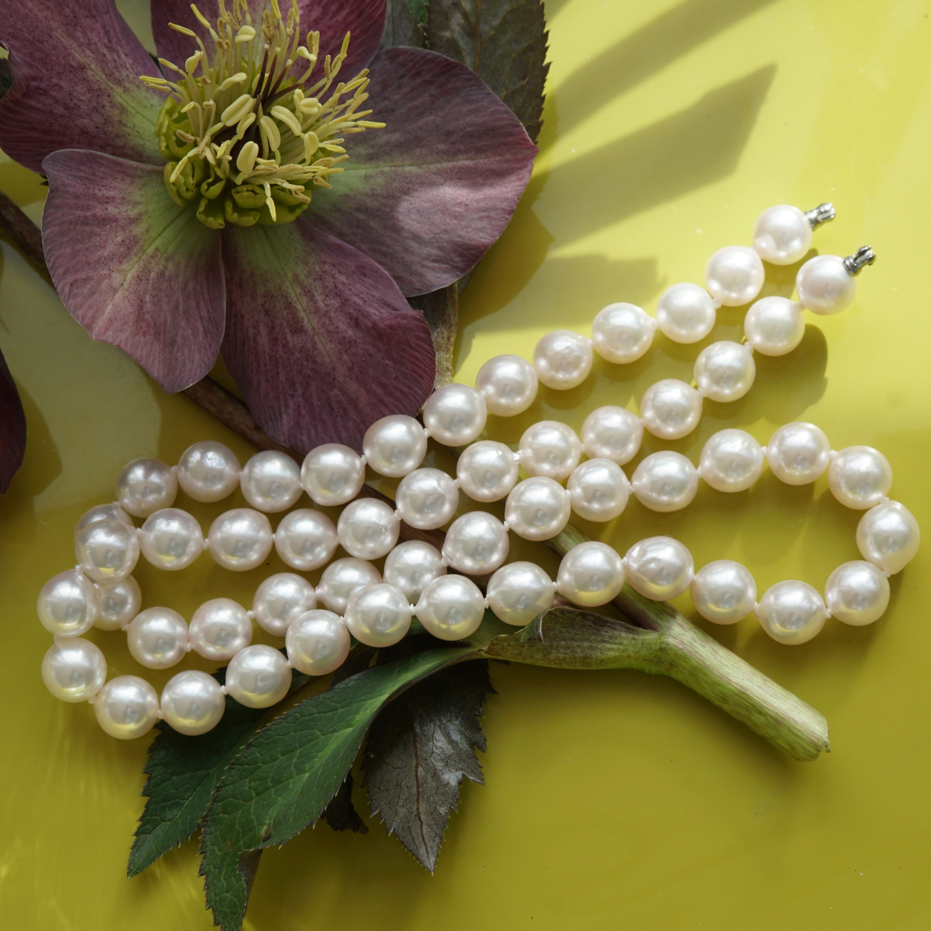 Akoya Zuchtperl Collier 7-7,5 mm rund-l.unrund weiß AAA feiner Lüster
