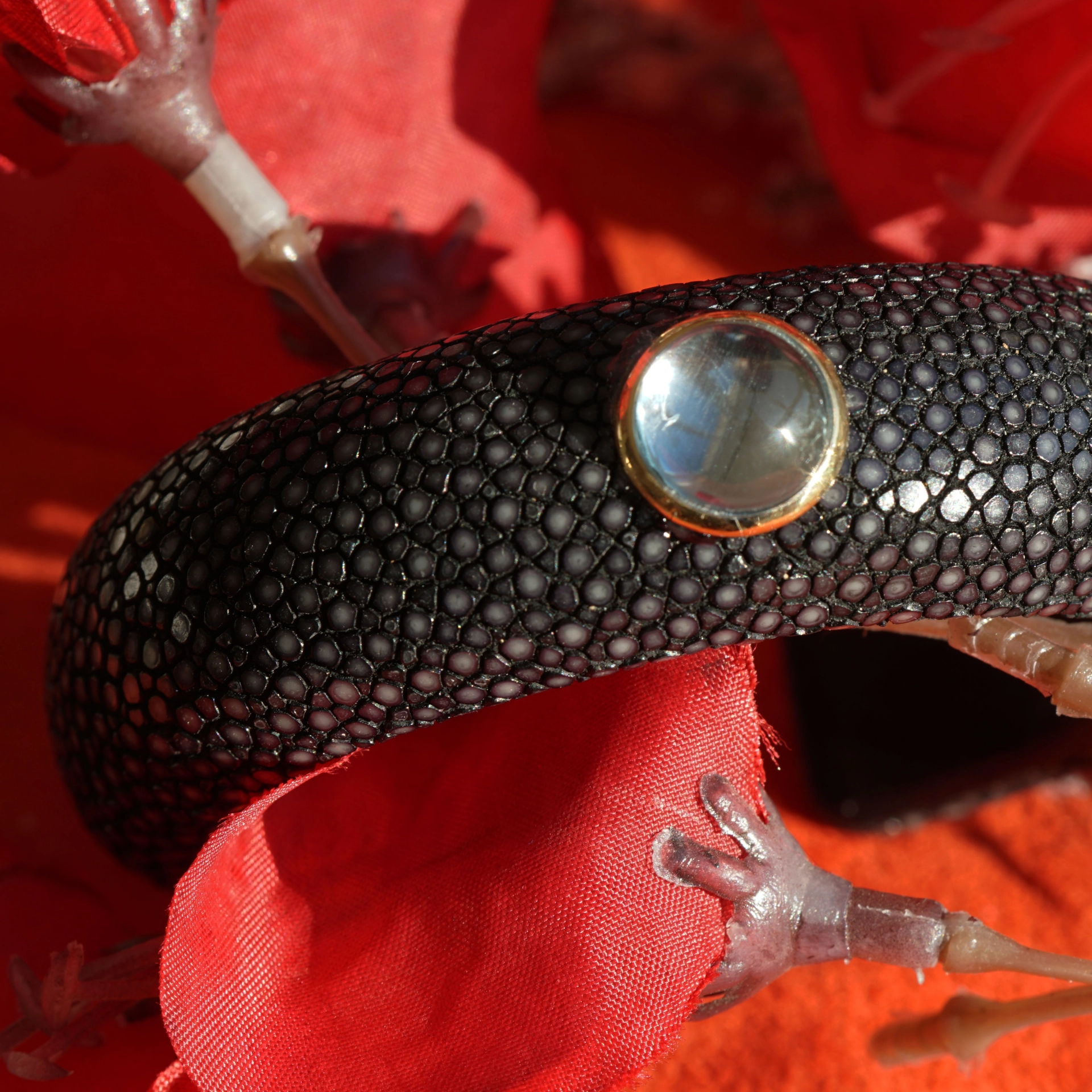 Stingray Bracelet 14 kt Yellow Gold Topaz High Quality Item
