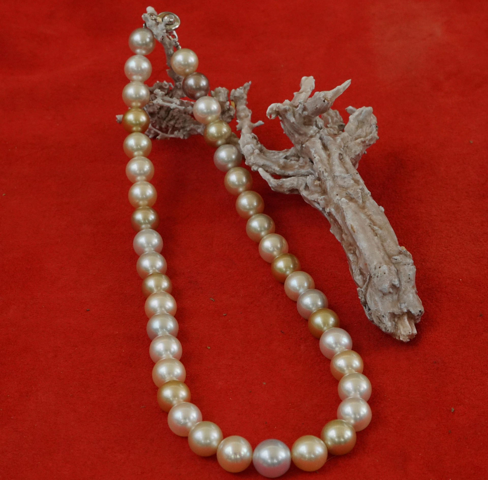 Südsee Zuchtperl Collier 585er Gelbgold 10-11,7 mm Naturfarben