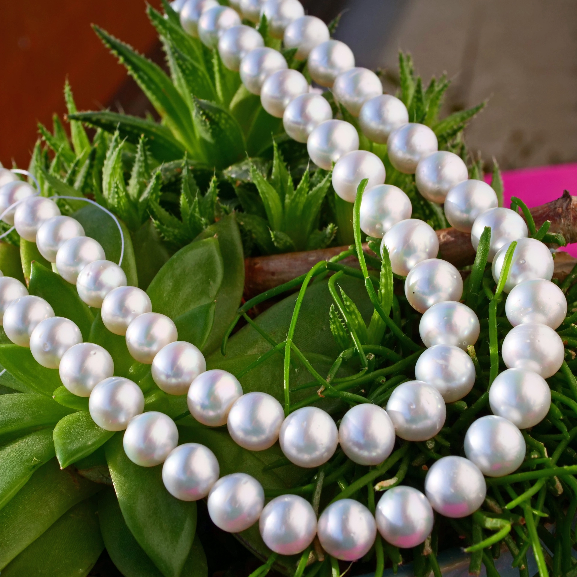 White South Sea cultured Pearl Necklace of approx. 13.4 x 10 mm AAA-AA