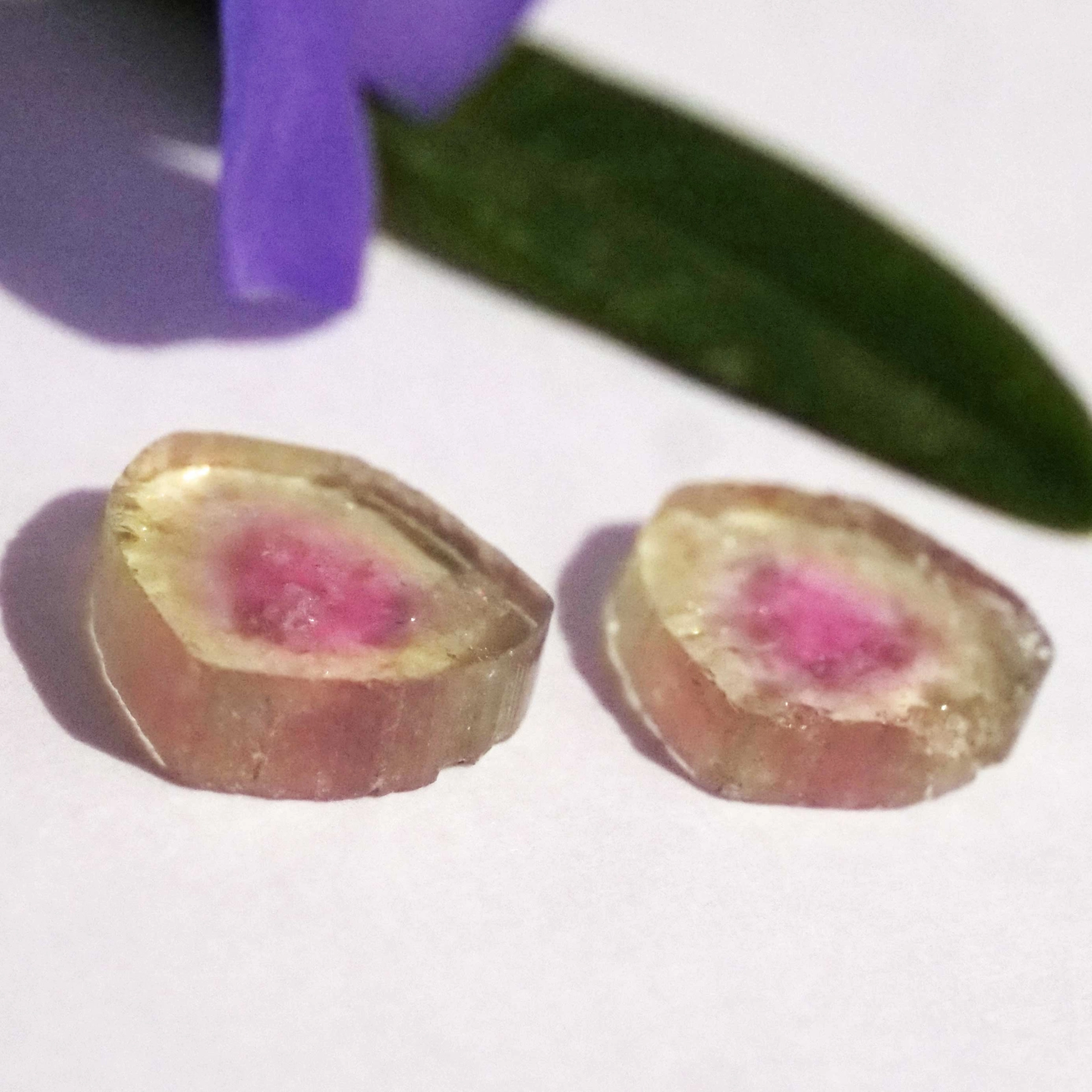 Watermelon Tourmaline slices from Afghanistan totally 3.25 ct AAA+