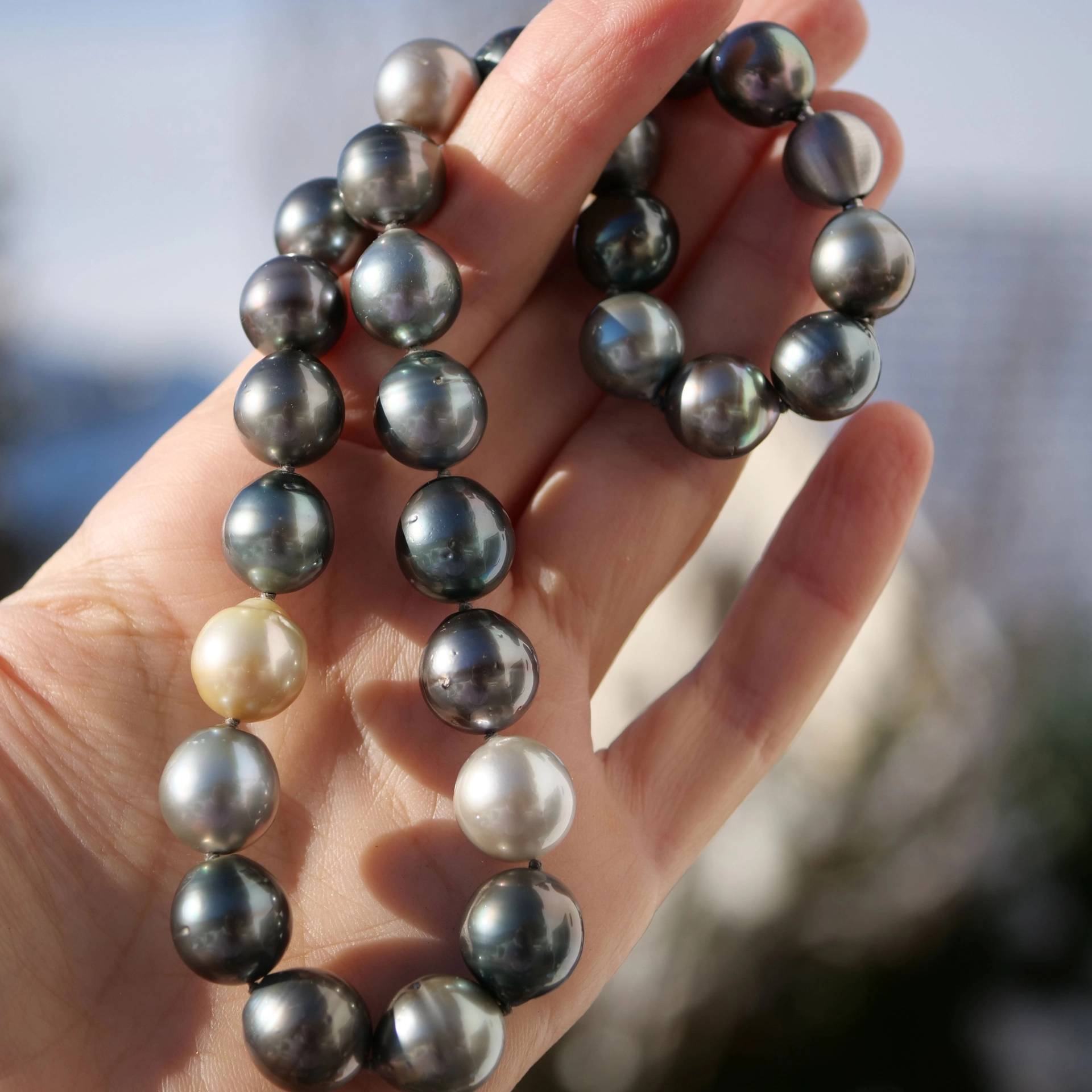 A Amazing Tahiti Pearl Necklace with so many Colors