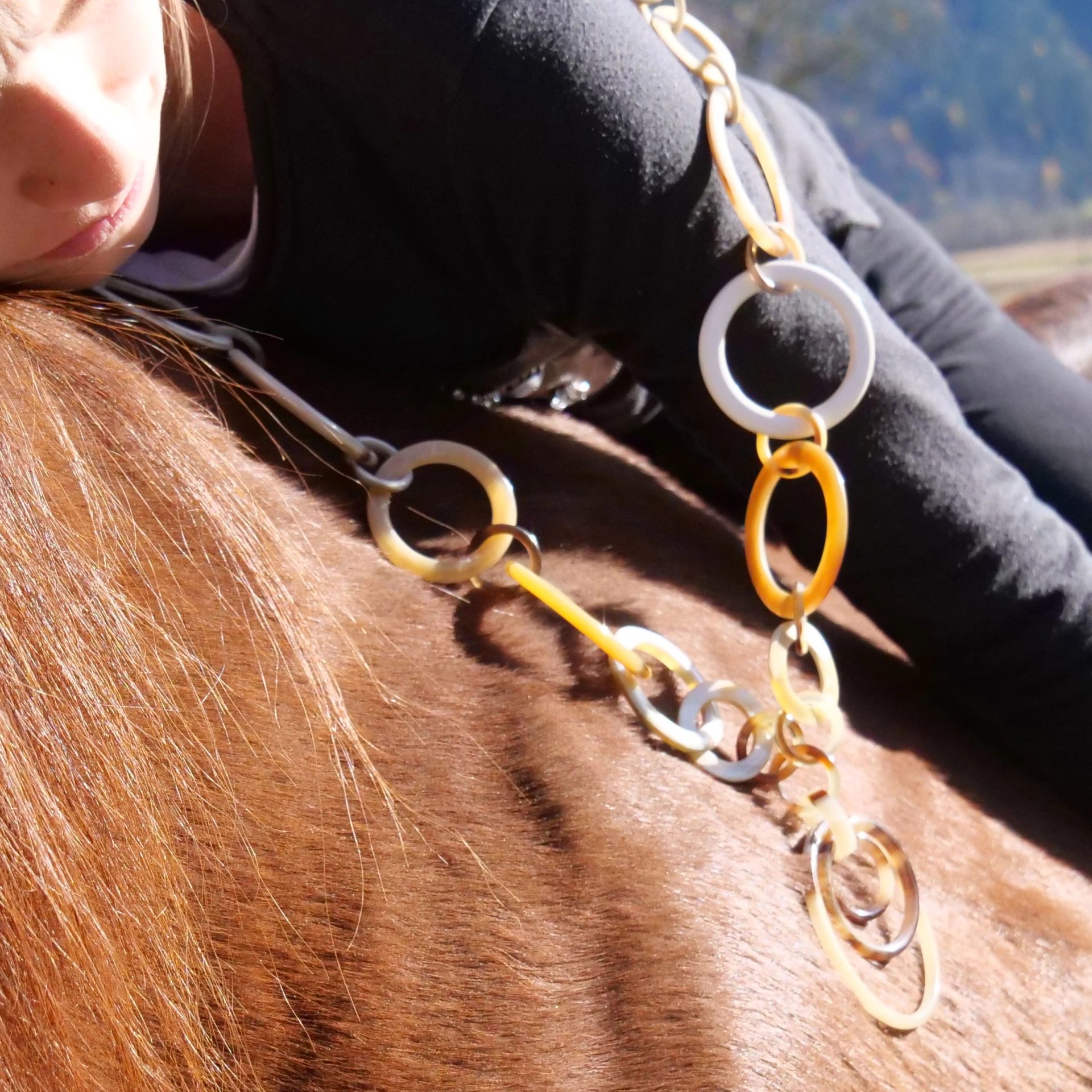 Horn Necklace...very chic....light and easy