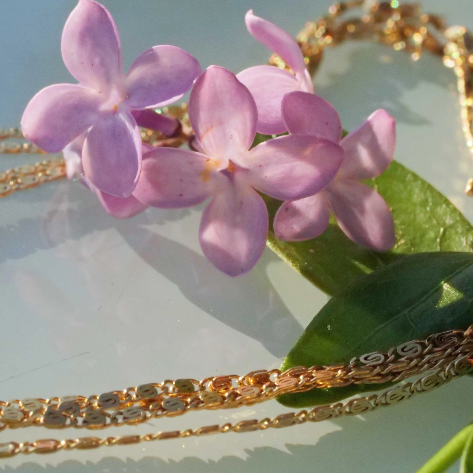 Delicate flat Curb Chain 14 kt Yellow Gold 10 Gramm 200 cm Lenght