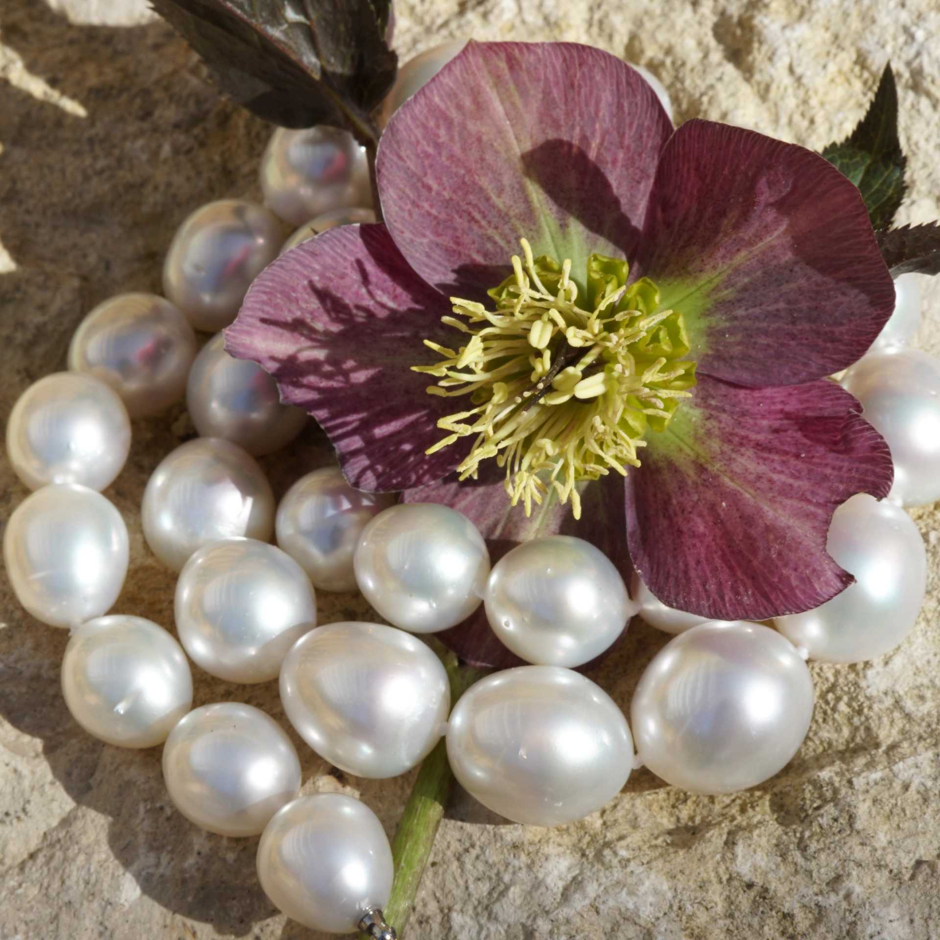 Southsea Pearl Necklace 15,3-12 mm AAA+ Great Quality