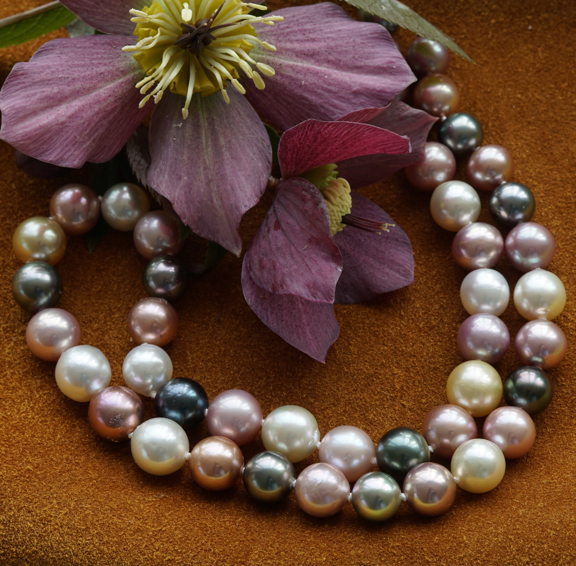Tahiti Southsea Ming Pearl Necklace....such nice Colors