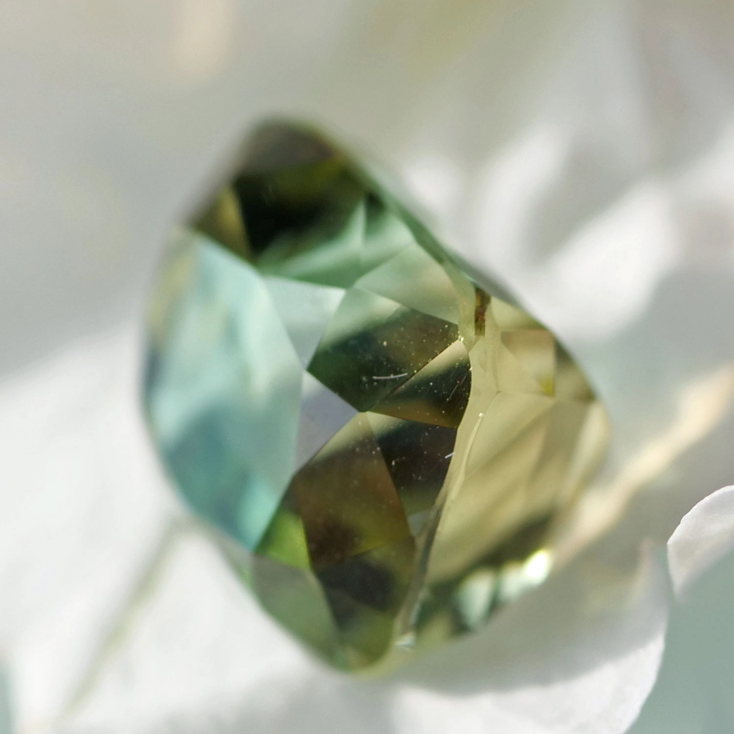 Like from another World...this natural colors are unique