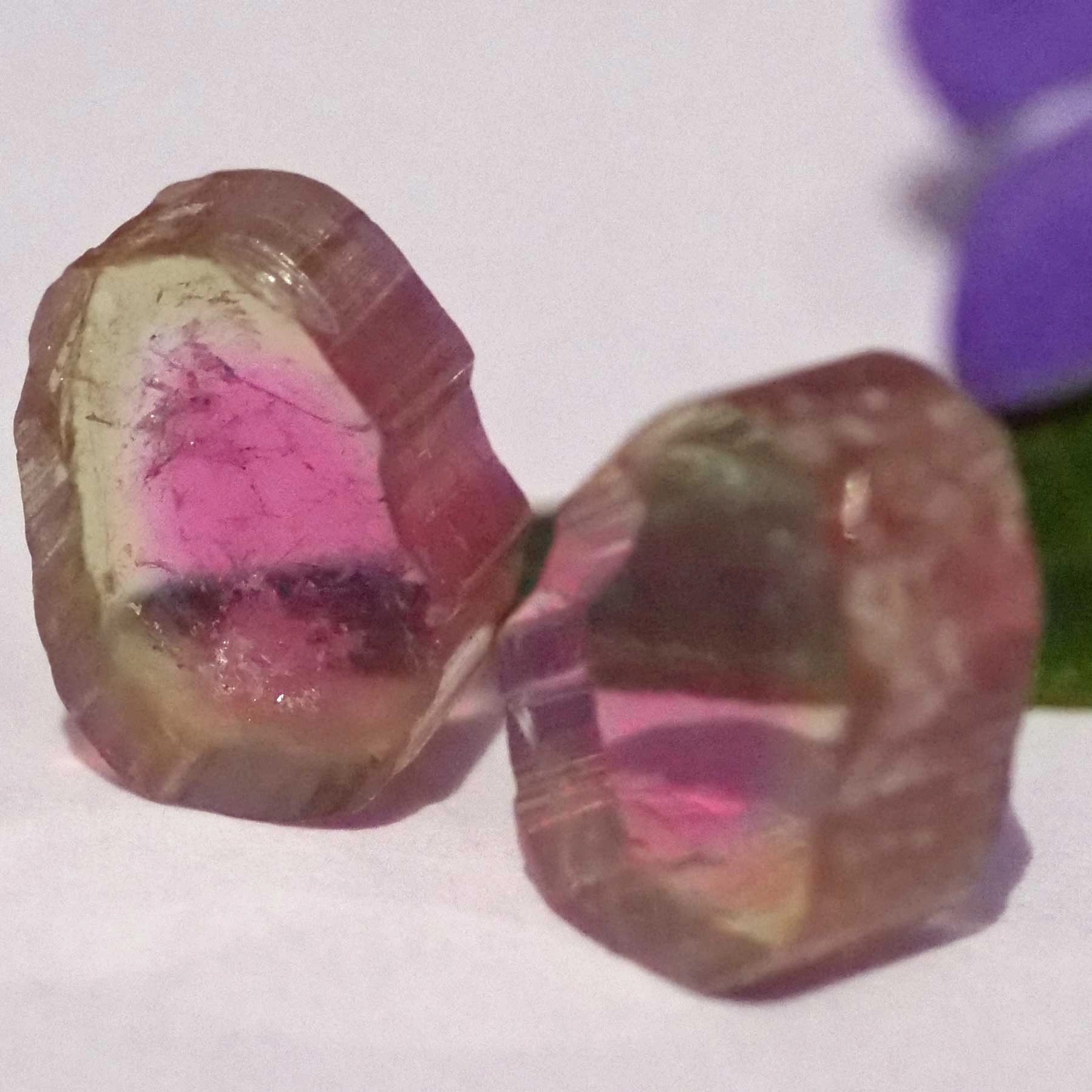 Watermelon Tourmaline slices from Afghanistan totally 6.50 ct AAA+