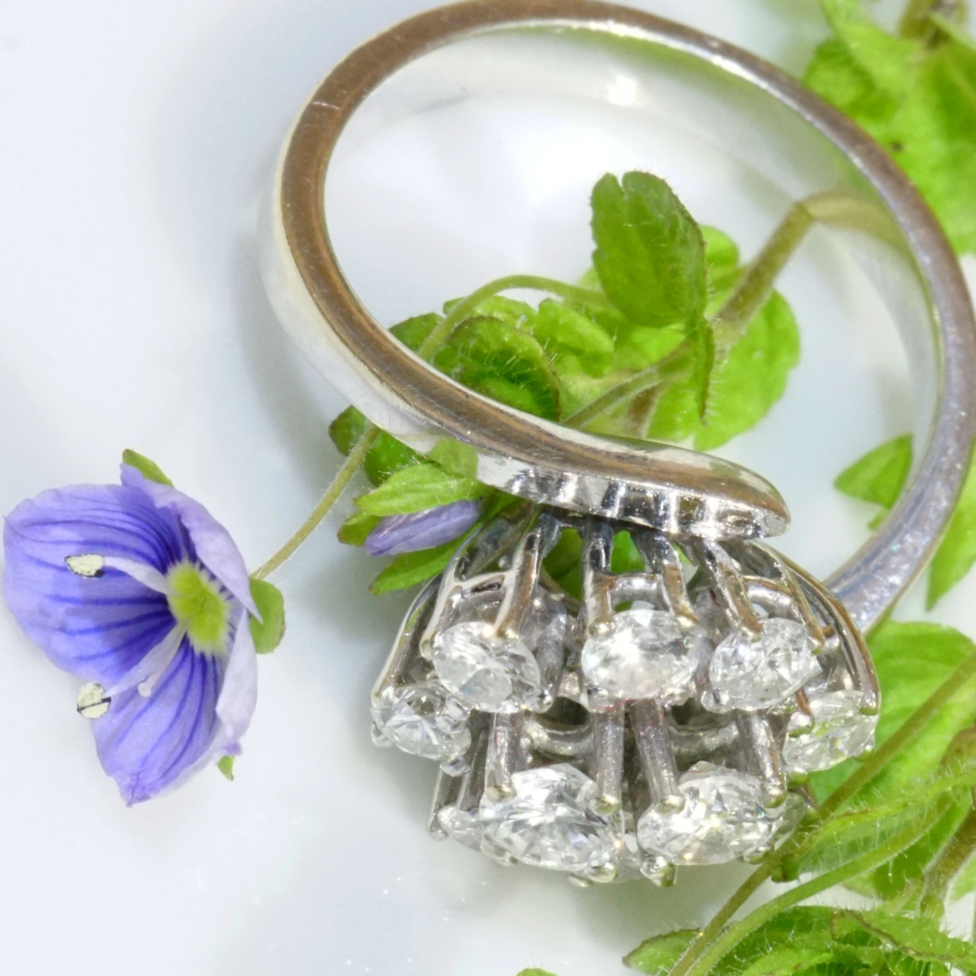 Brilliant Ring 1 ct Diamonds...what a charming Style