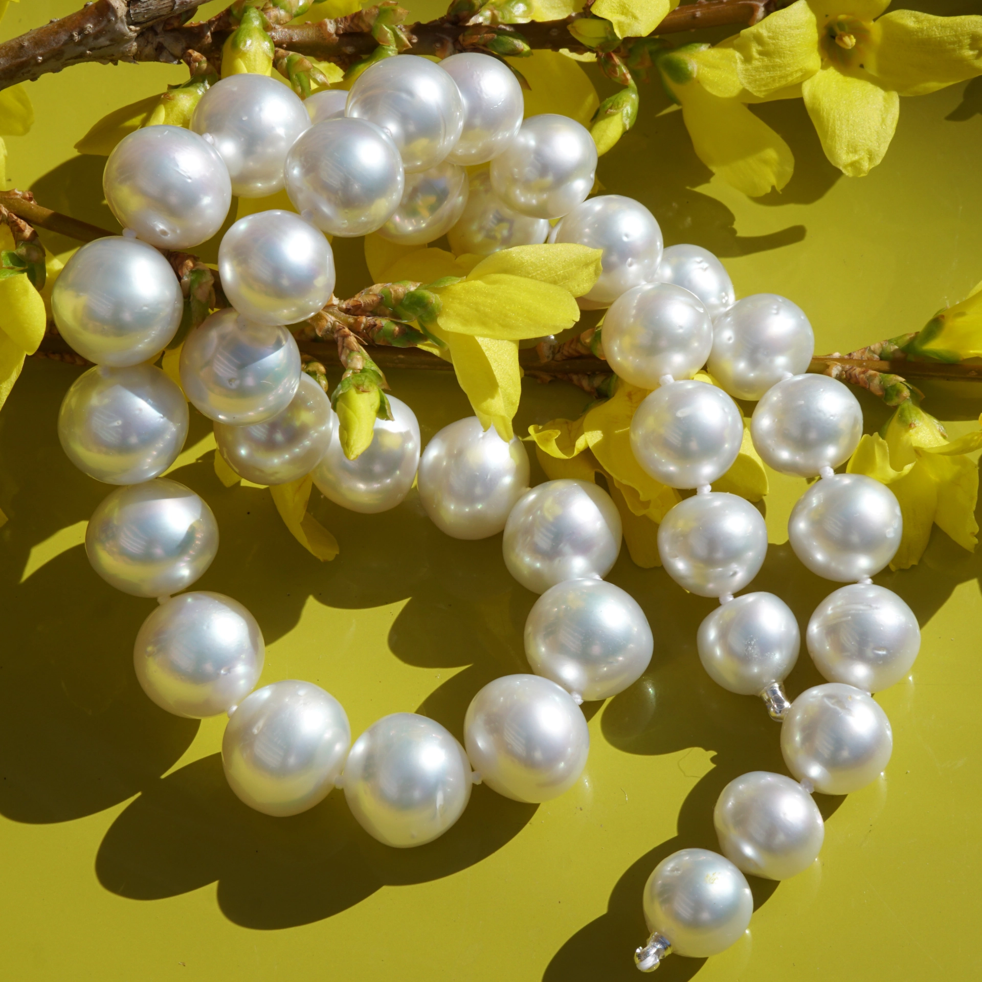 White South Sea cultured Pearl Necklace of approx. 13.4 x 10 mm AAA-AA