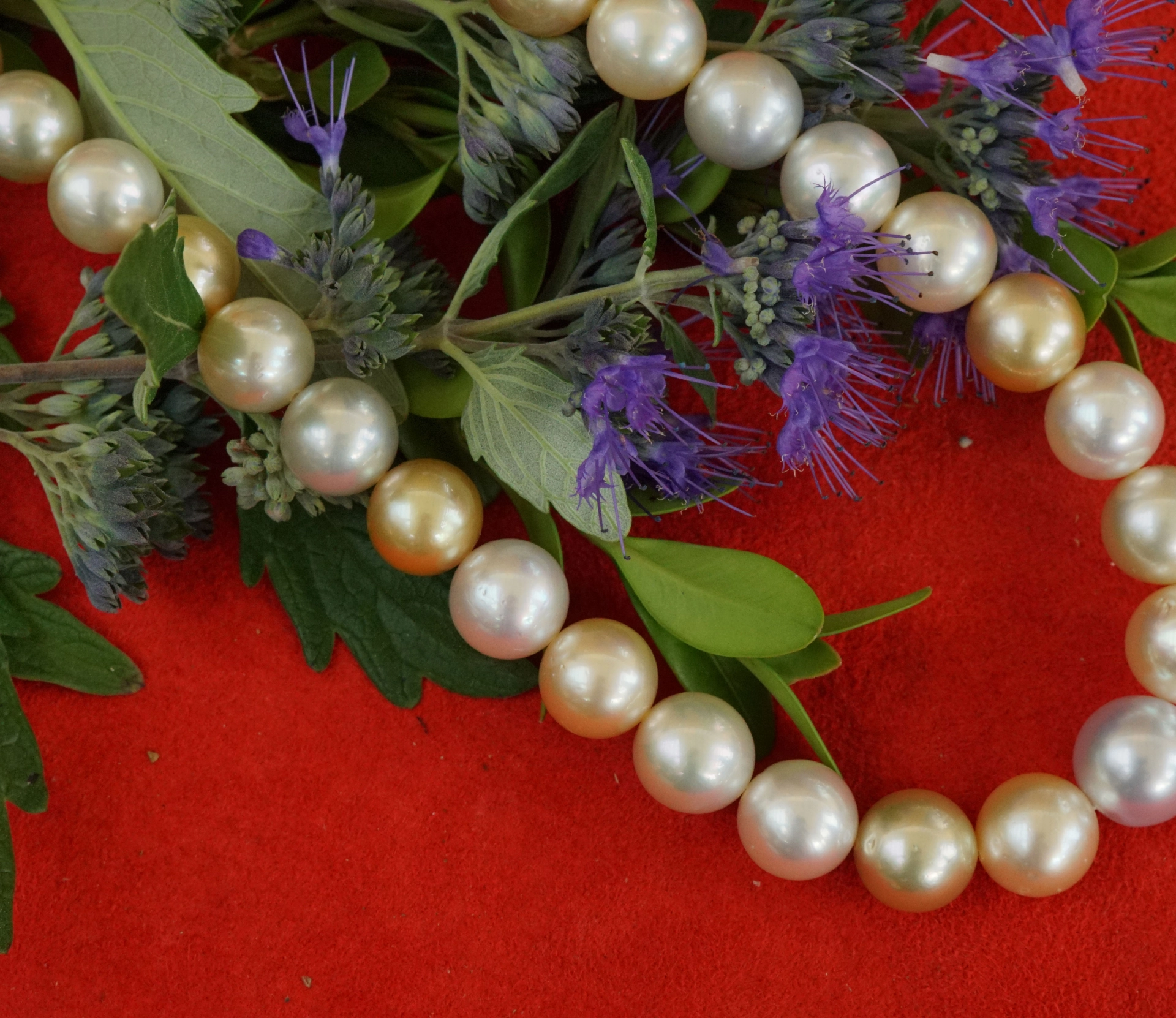 Südsee Zuchtperl Collier 585er Gelbgold 10-11,7 mm Naturfarben