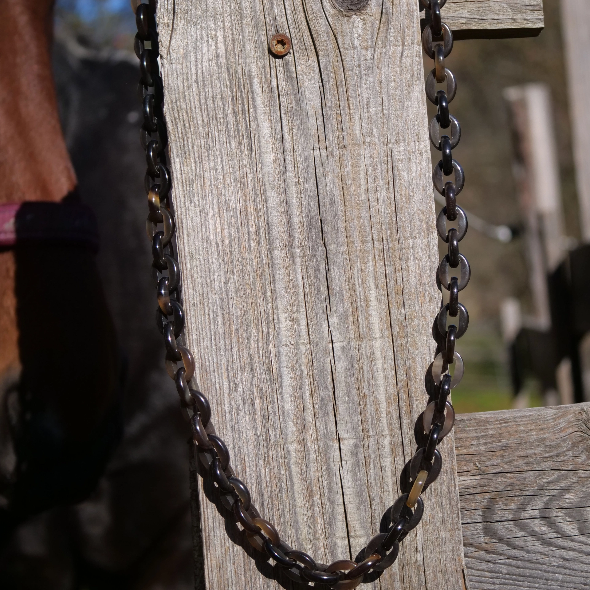 Horn Necklace...very chic....light and easy