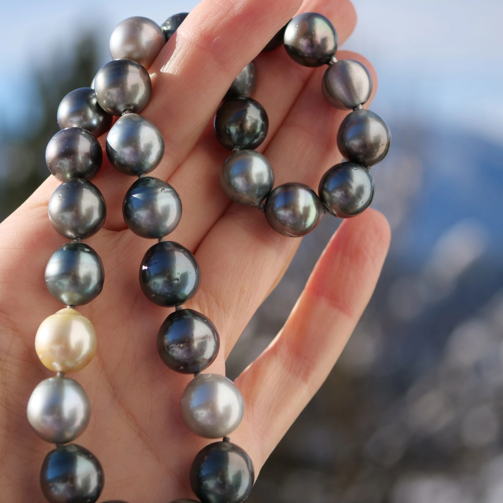 A Amazing Tahiti Pearl Necklace with so many Colors