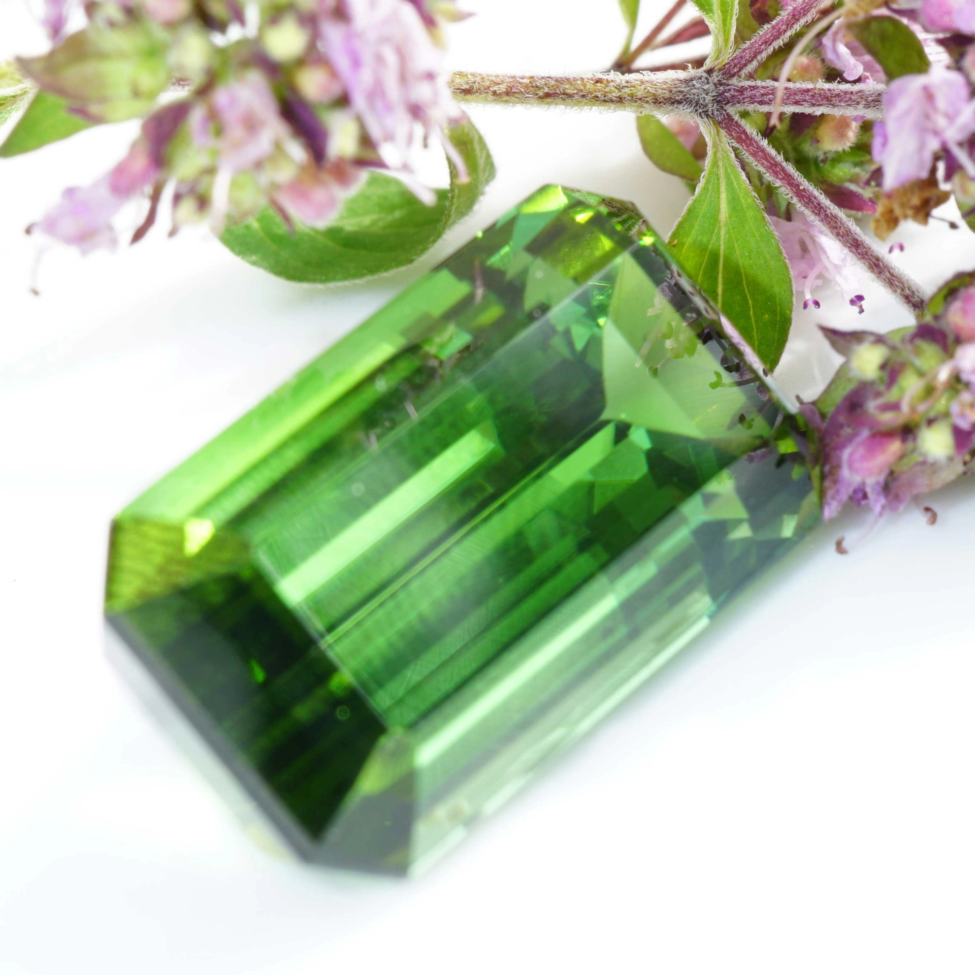 Tourmaline from Afghanistan green 19.79 ct fine Color Eyeclean Investment Gemstone