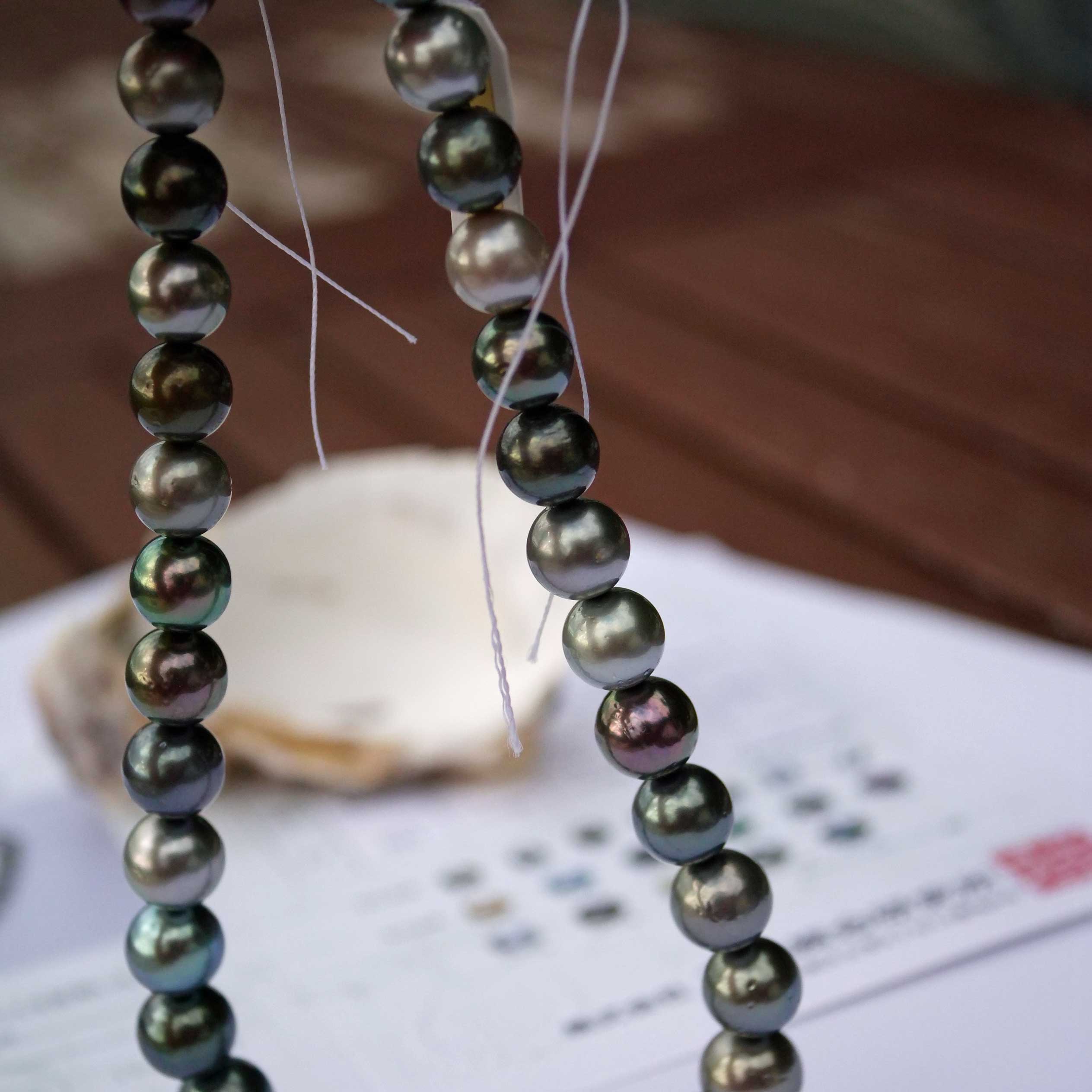 Tahitian Cultured Pearl Strand 11-13.5 mm multicolor AAA+-AAA round very strong Luster with Certificate