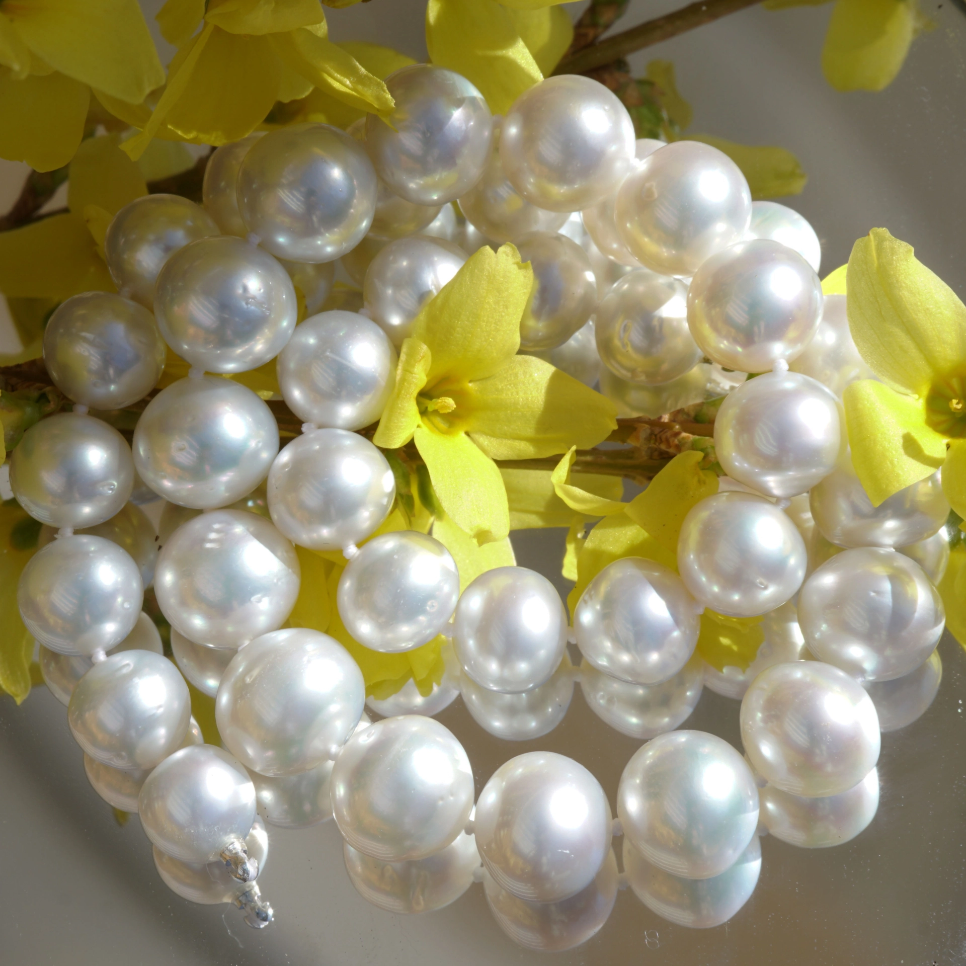 White South Sea cultured Pearl Necklace of approx. 13.4 x 10 mm AAA-AA