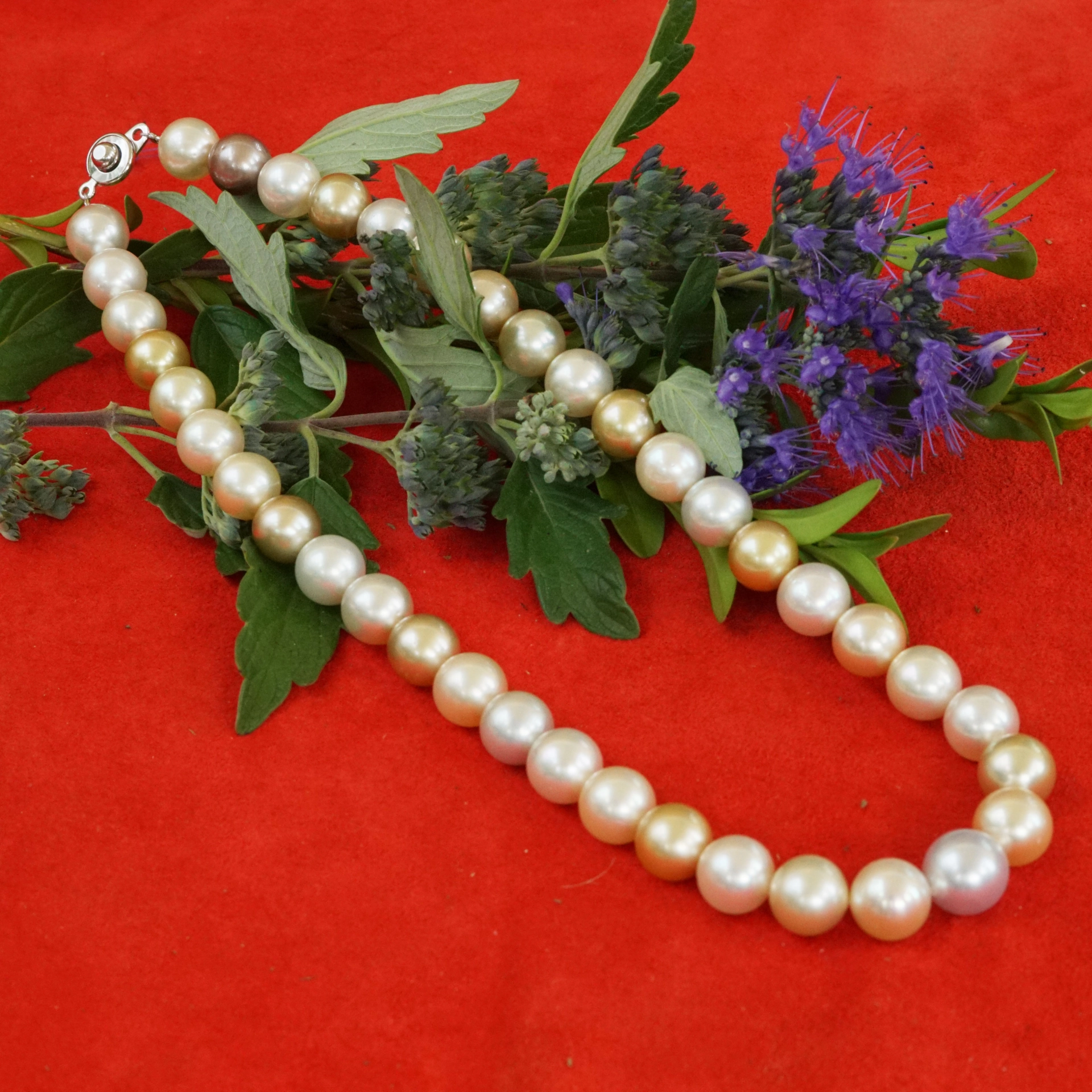 Südsee Zuchtperl Collier 585er Gelbgold 10-11,7 mm Naturfarben