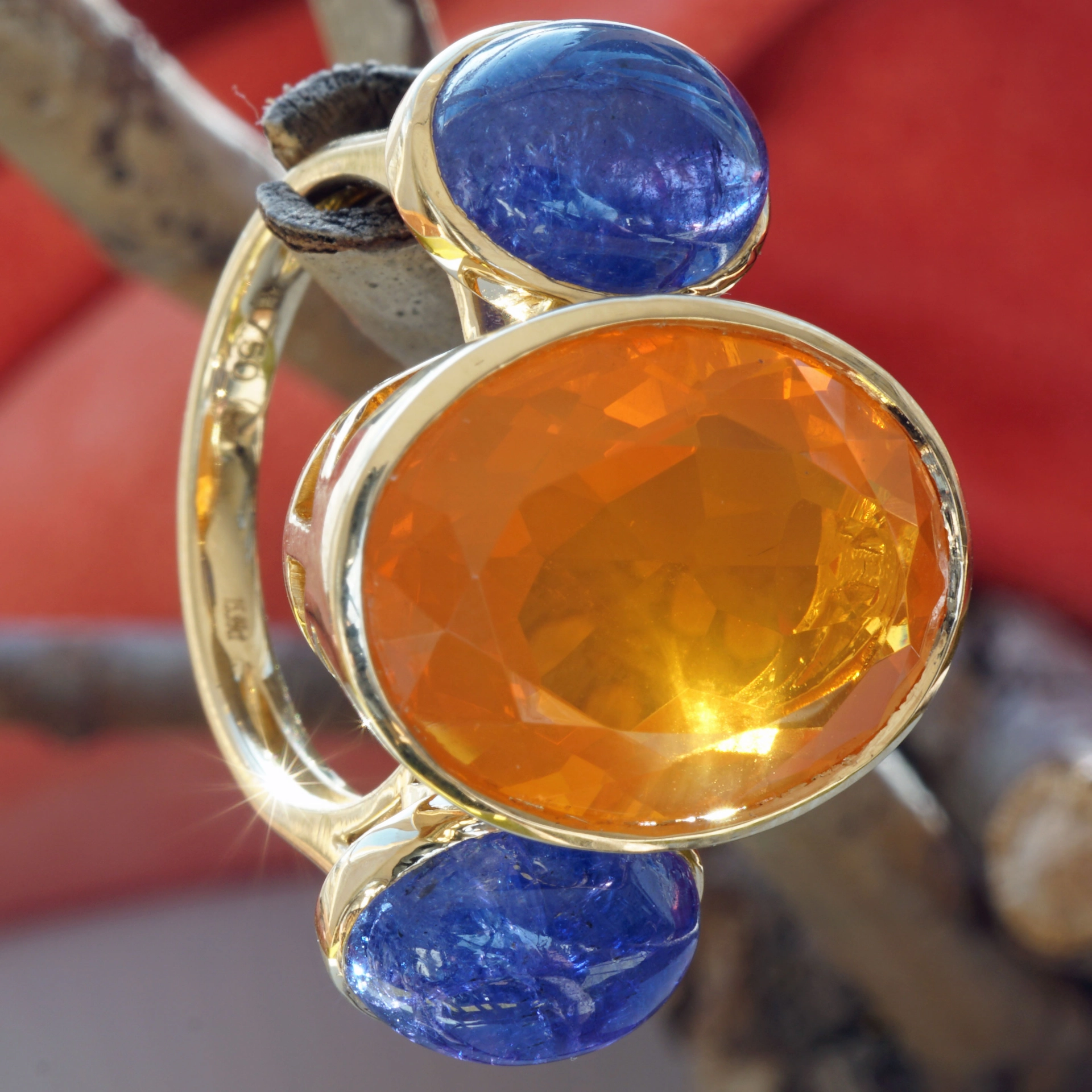 Firebird Colors...incredible Orange and Blue...Amazing